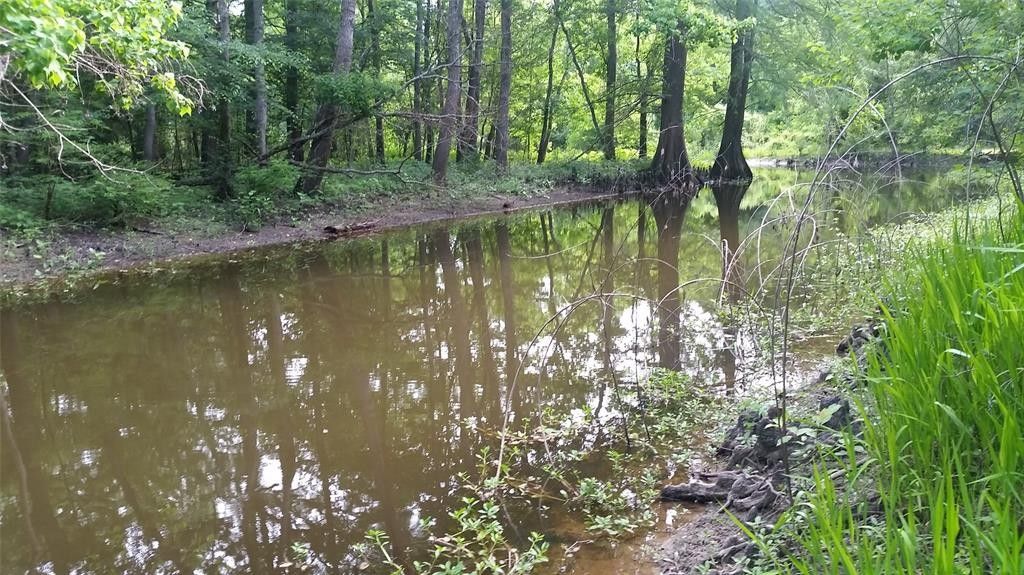 Doyline, ster Parish, LA Undeveloped Land, Homesites for sale