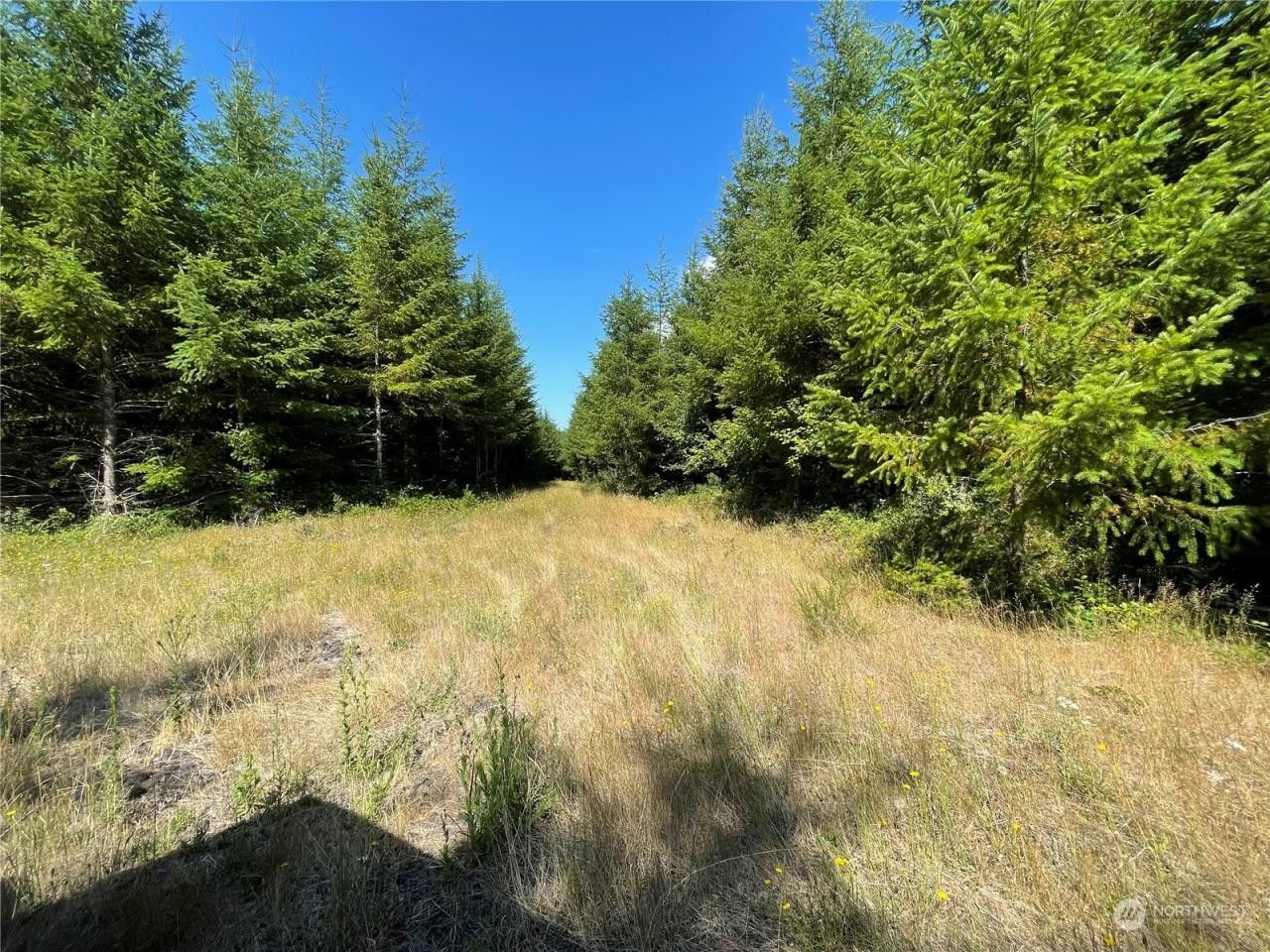 Pe Ell, Lewis County, WA Farms and Ranches for sale Property ID