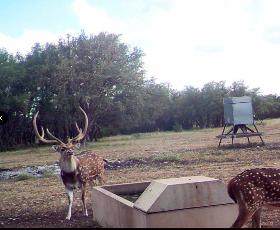 Mountain Home, Real County, TX Farms and Ranches, Recreational Property