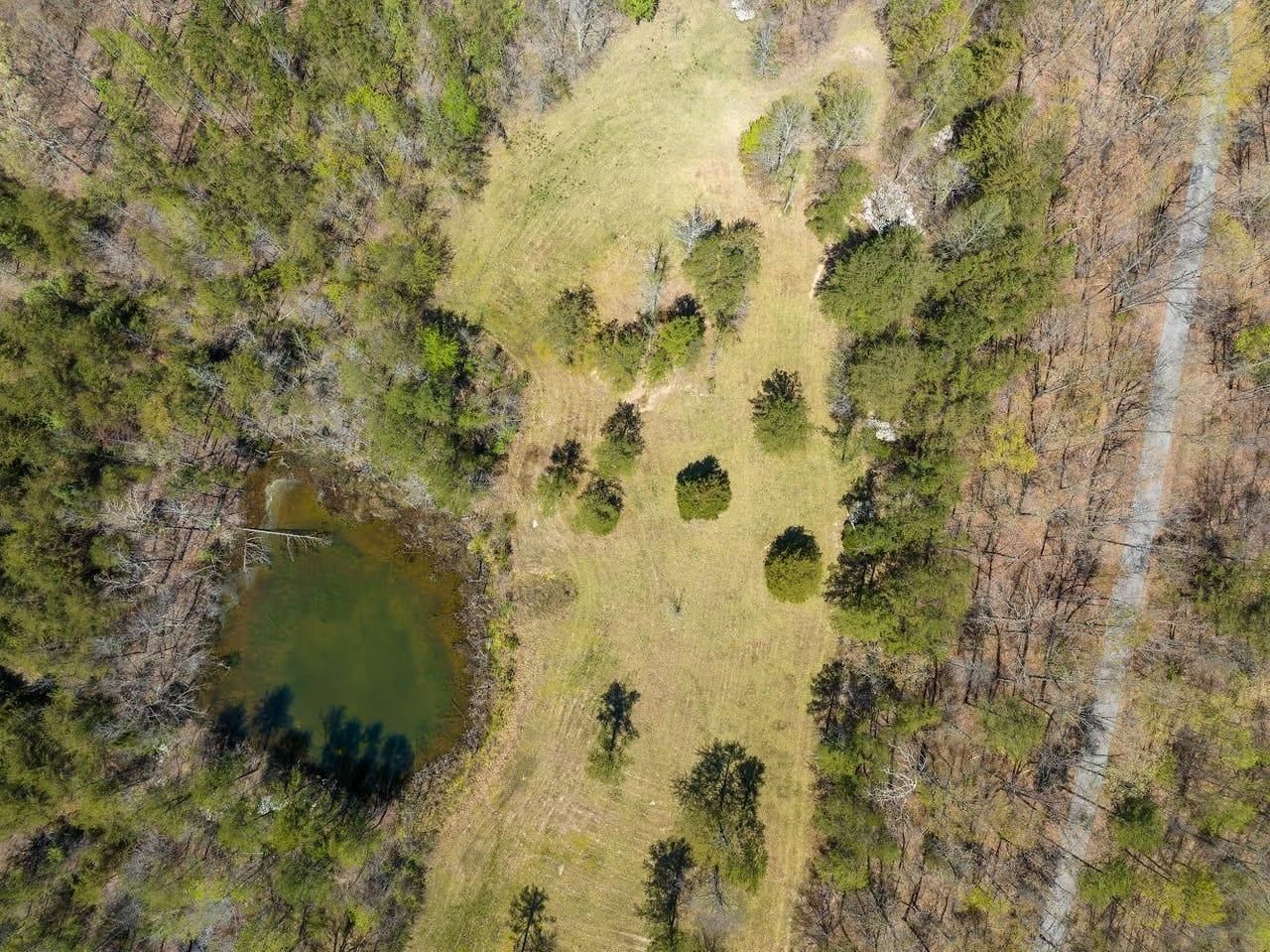 Williamsburg, McCreary County, KY Recreational Property, Hunting