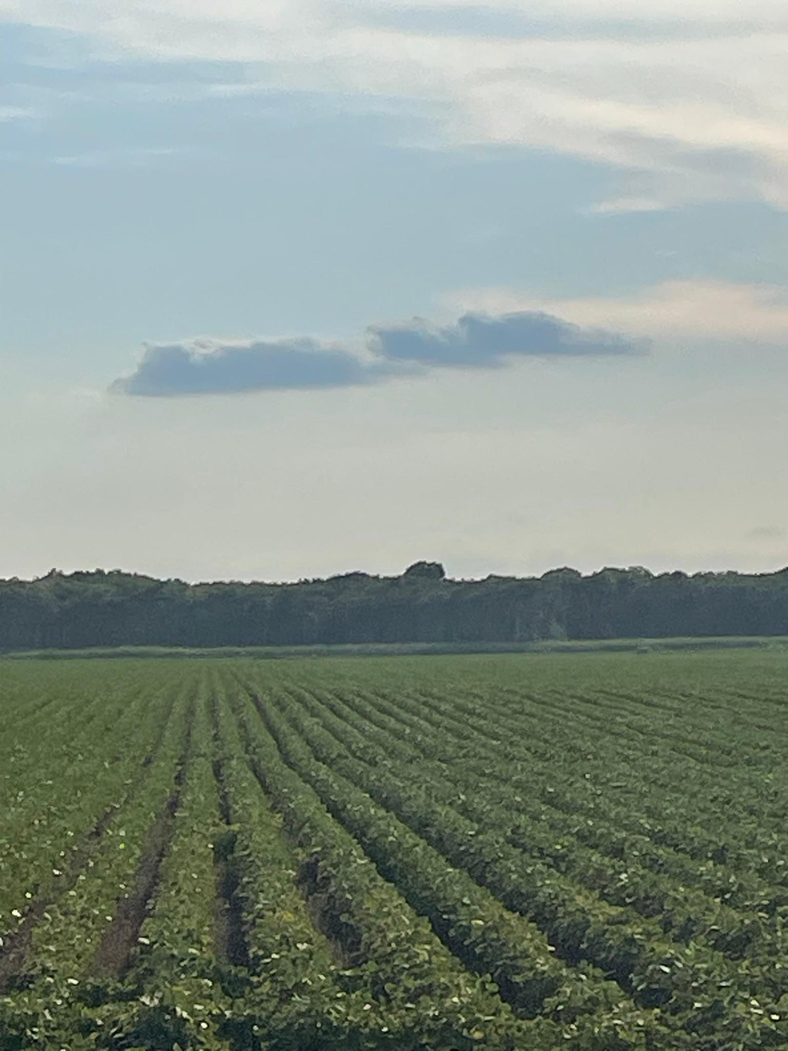 Charleston, Tallahatchie County, MS Farms and Ranches, Hunting Property