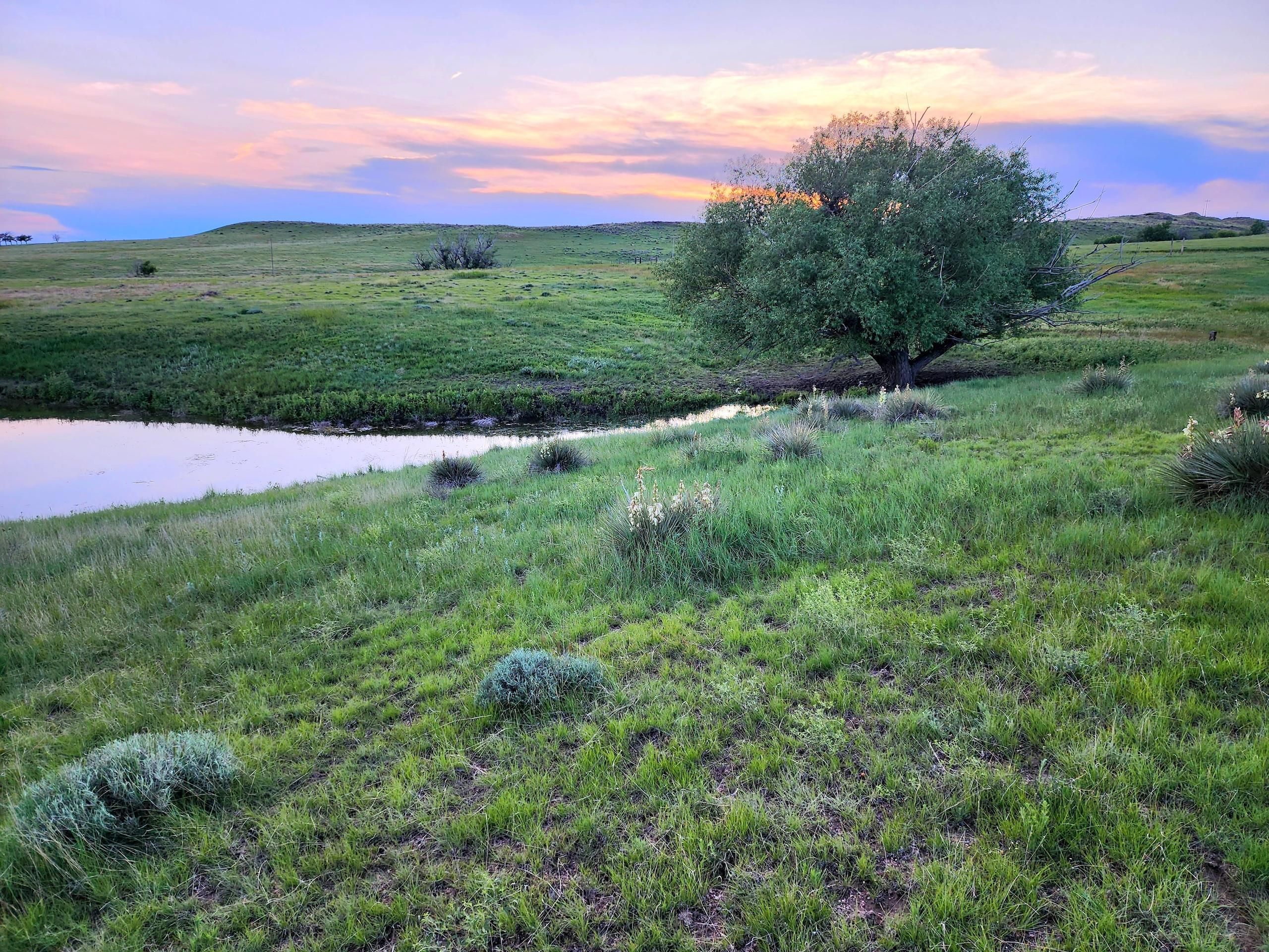 52326 Highway 109, Hugo, CO 80818 LandWatch