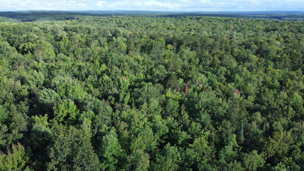 Exeland, Sawyer County, WI Recreational Property, Hunting Property for