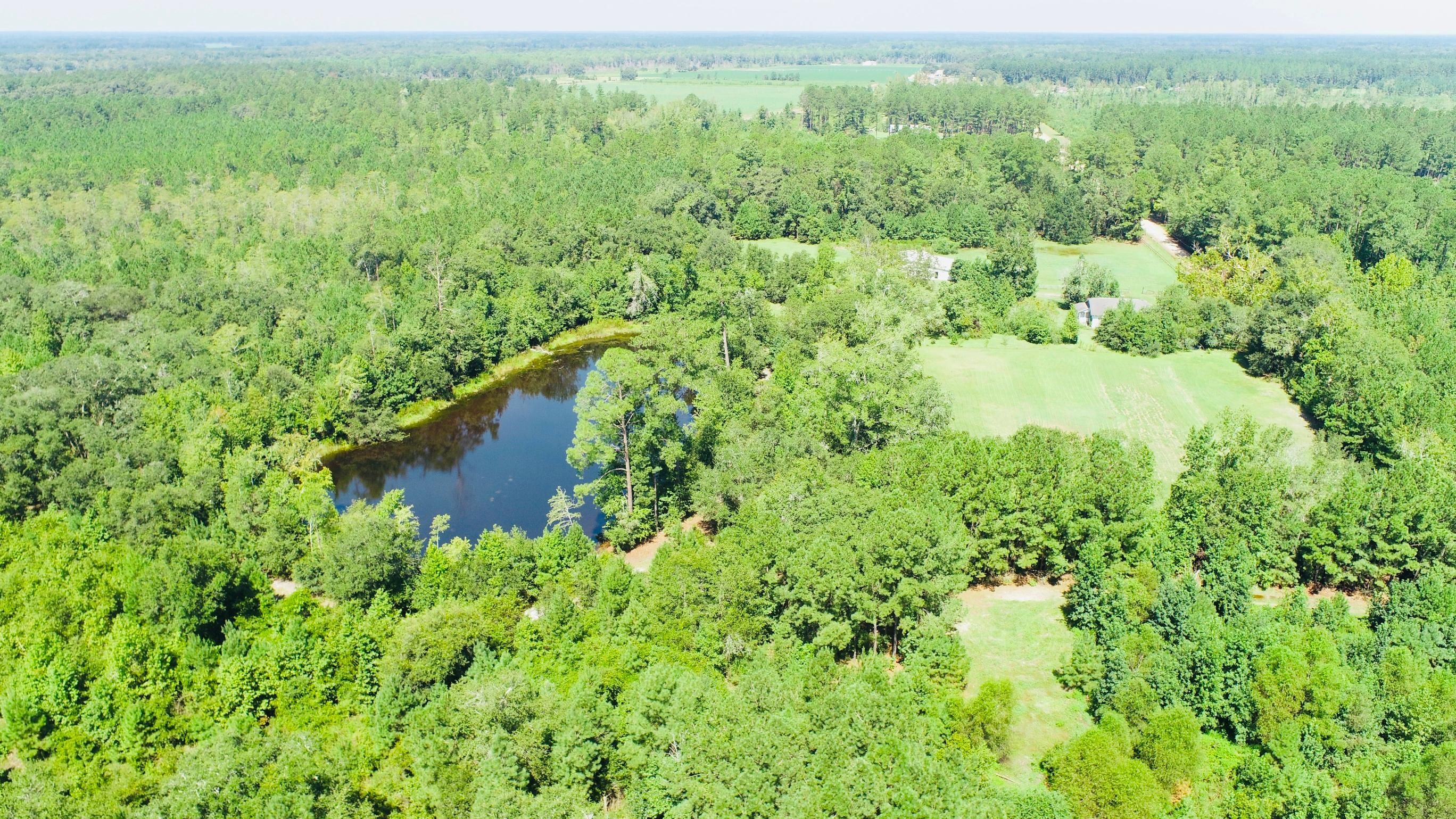 2791 Mp Martin Road, Brooklet, GA 30415 MLS Pole Branch LandWatch