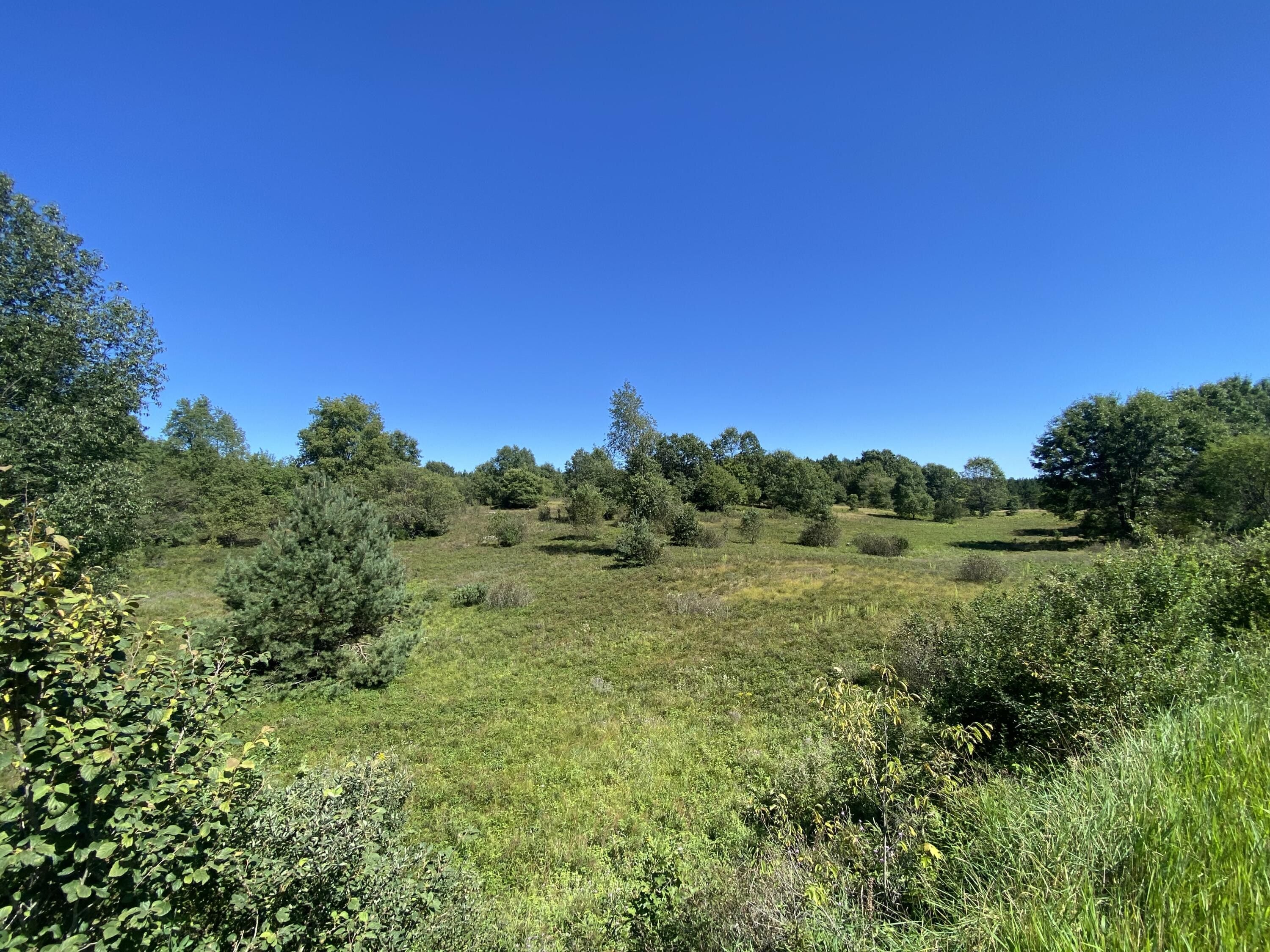 Mecosta, Mecosta County, MI Undeveloped Land for sale Property ID