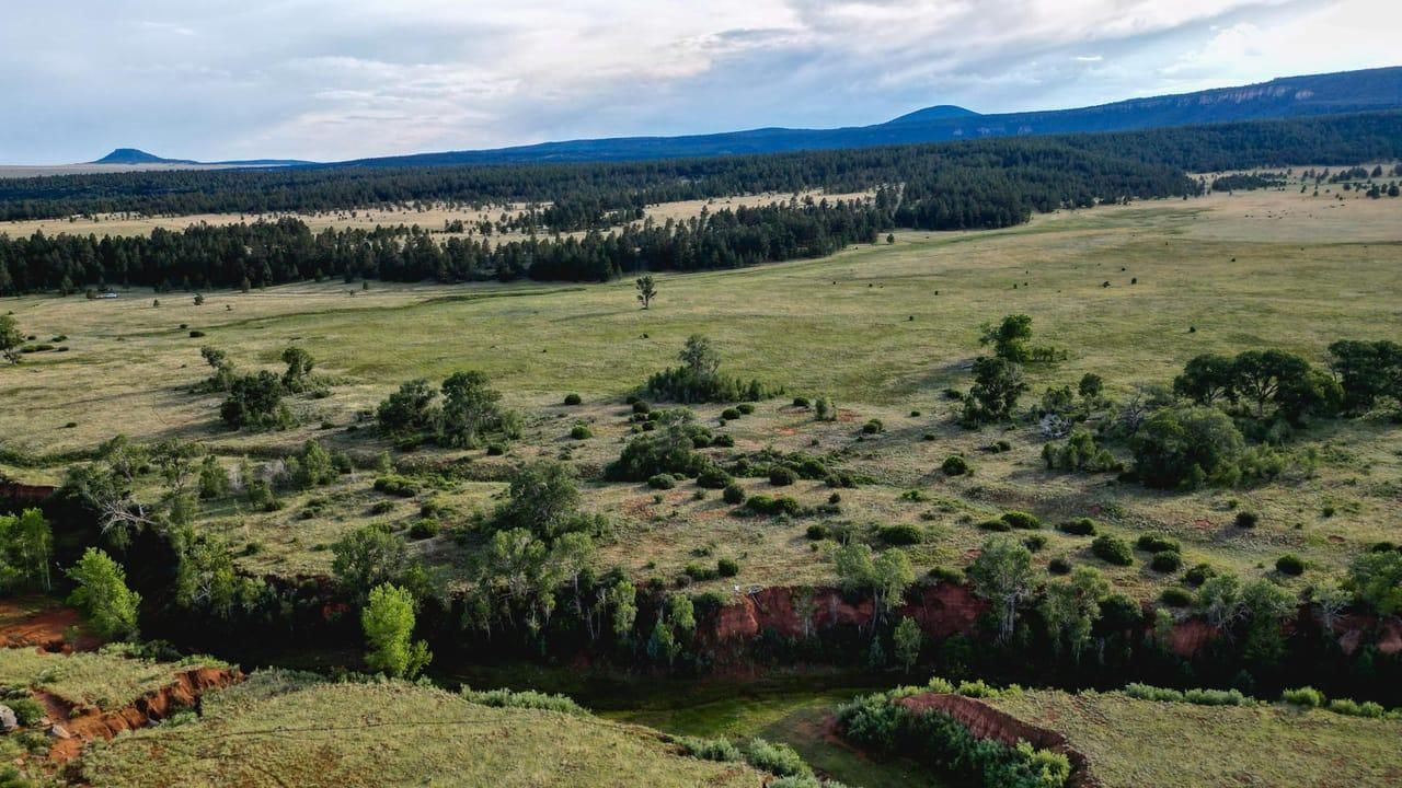Ocate, Mora County, NM Farms and Ranches, Recreational Property