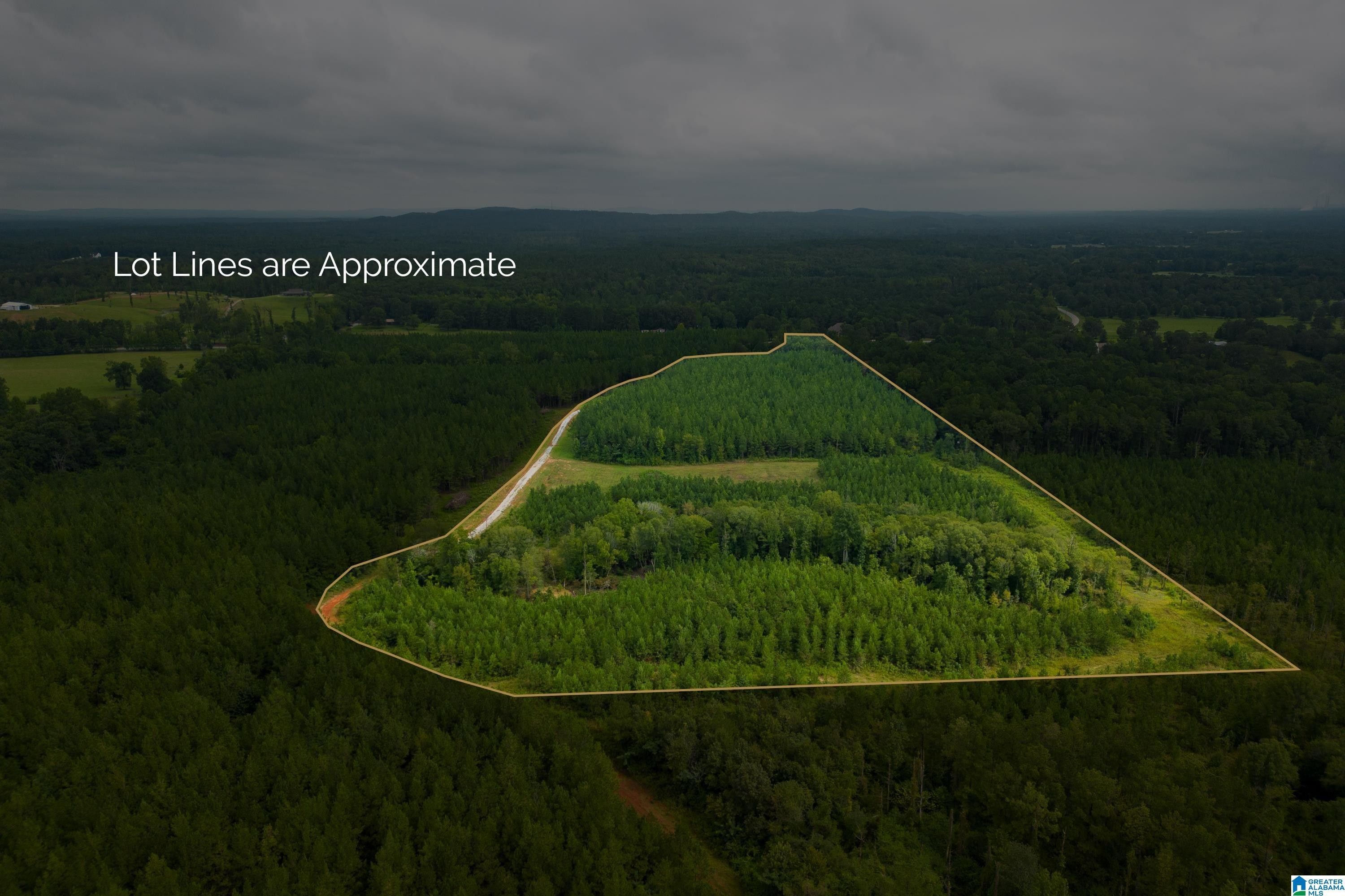 Columbiana, Shelby County, AL Undeveloped Land for sale Property ID