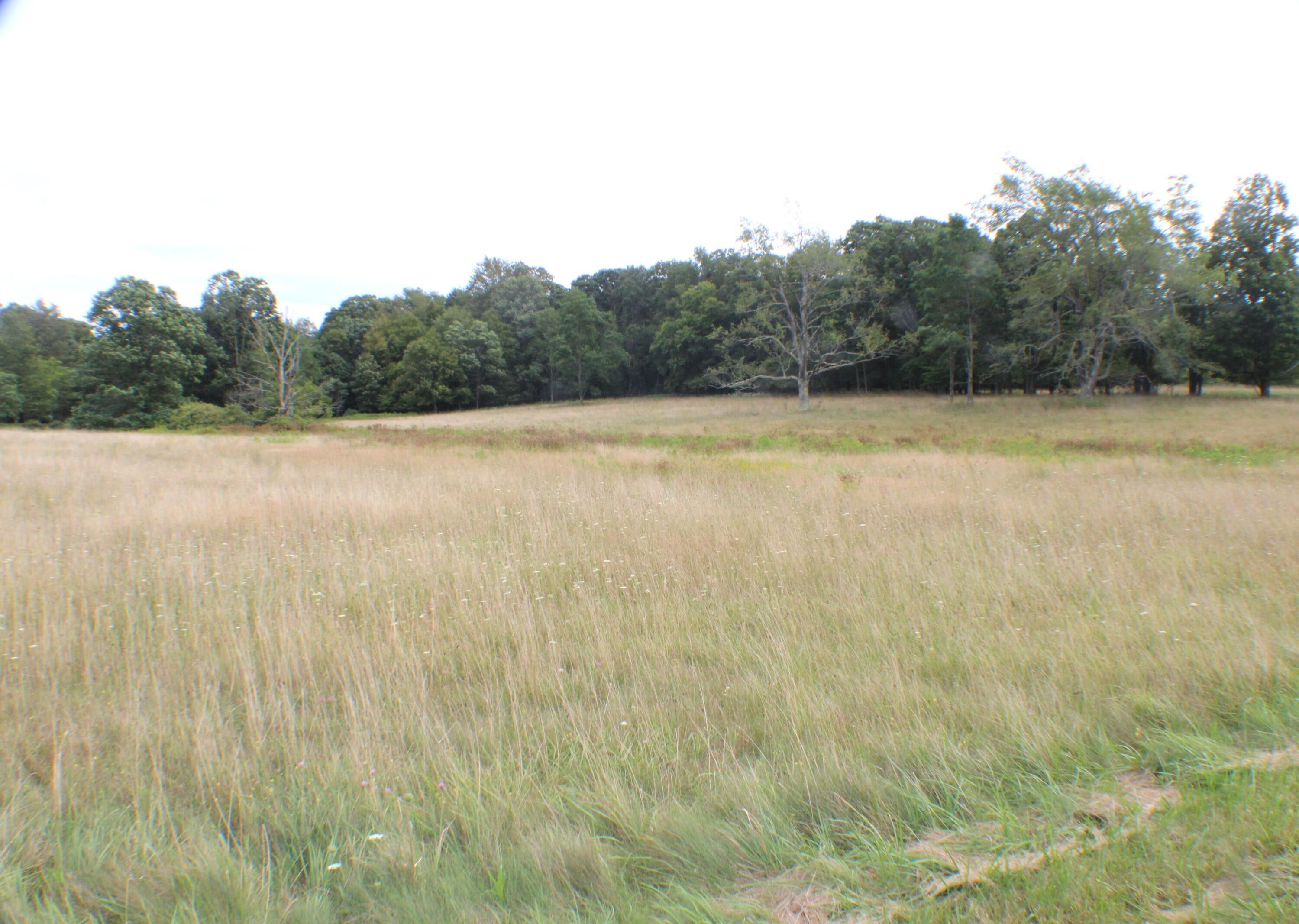 Marlinton, Pocahontas County, WV Undeveloped Land for sale Property ID