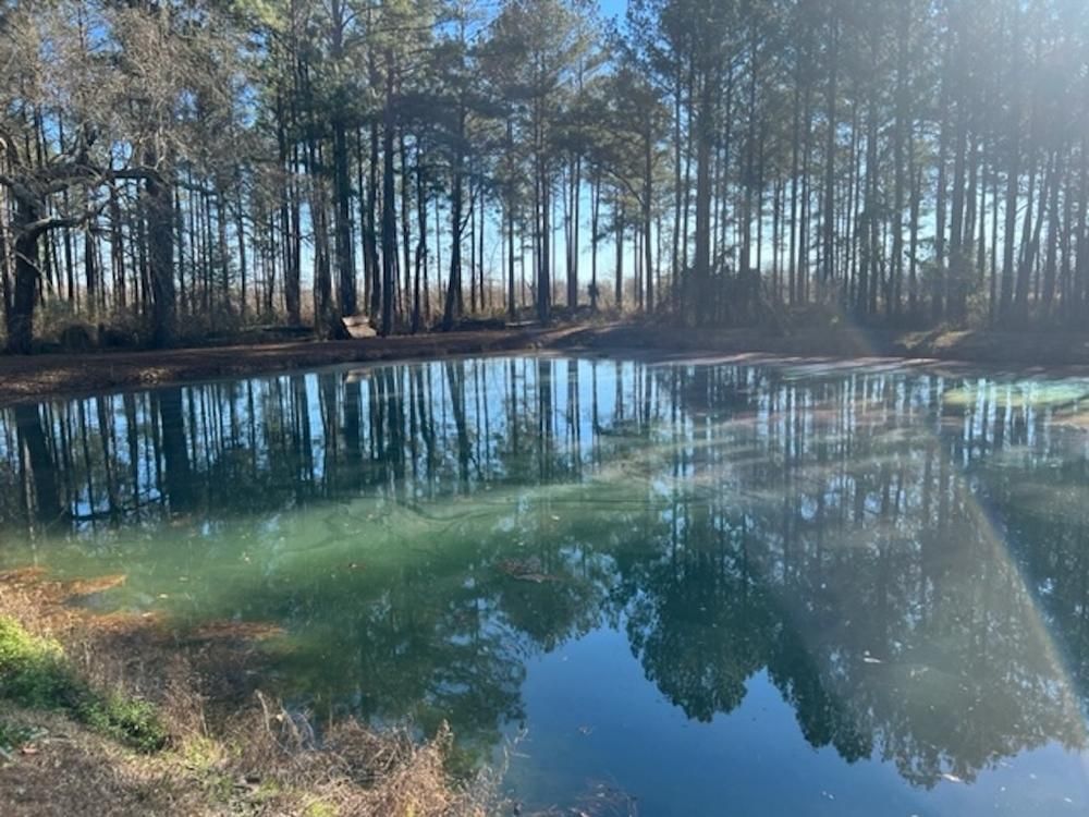 Dawson, Terrell County, GA Recreational Property, Timberland Property