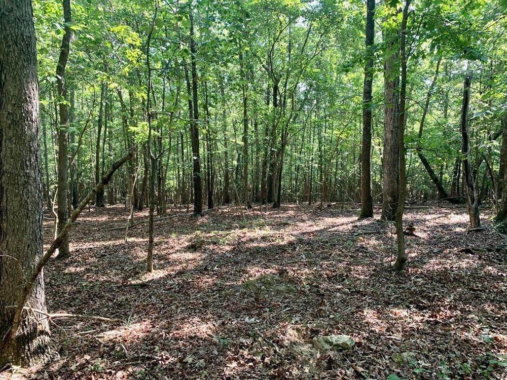 Cedartown, Polk County, GA Undeveloped Land, House for sale Property ID