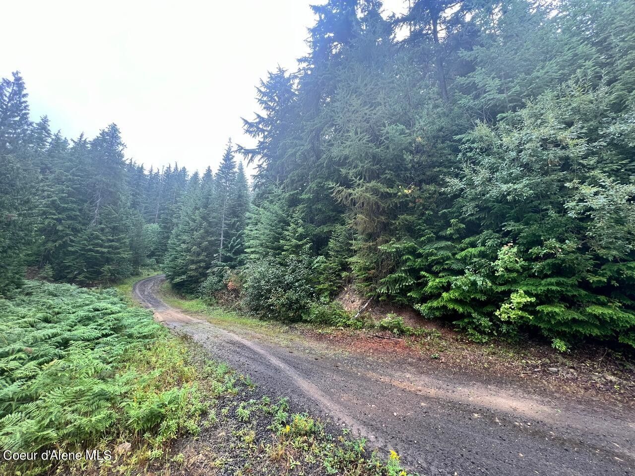 Fernwood, Benewah County, ID Undeveloped Land for sale Property ID