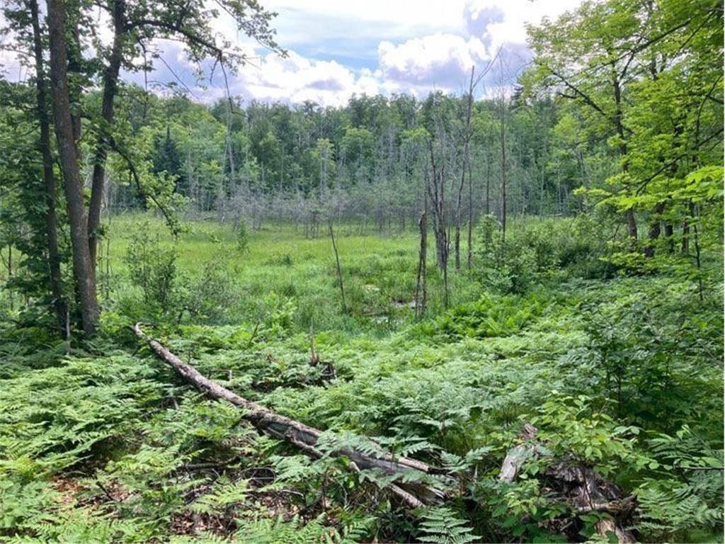 Longville, Cass County, MN Undeveloped Land for sale Property ID 417539952 LandWatch