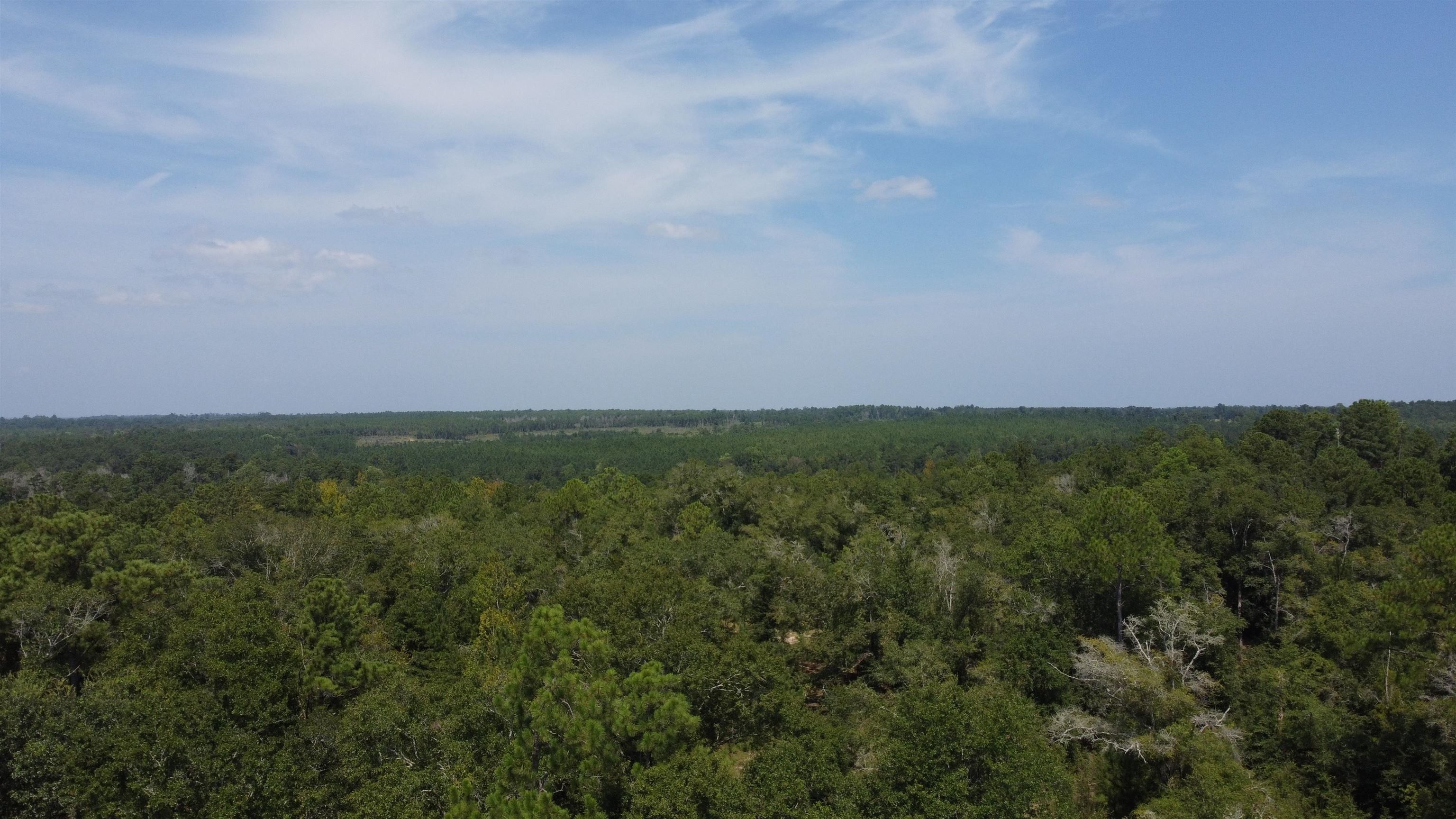 Chattahoochee, Gadsden County, FL Undeveloped Land for sale Property ID