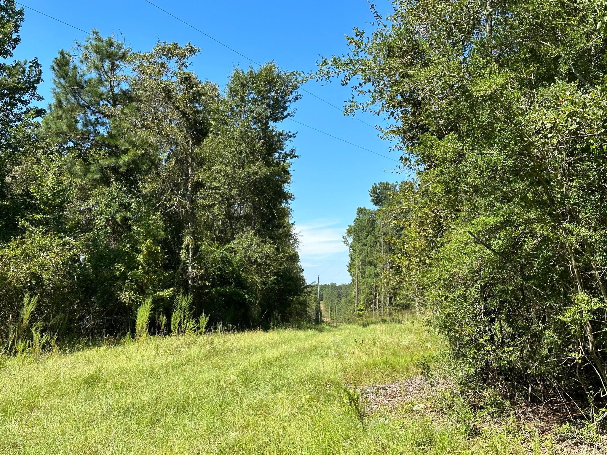 BathEdie Road, Hephzibah, GA 30815 LandWatch