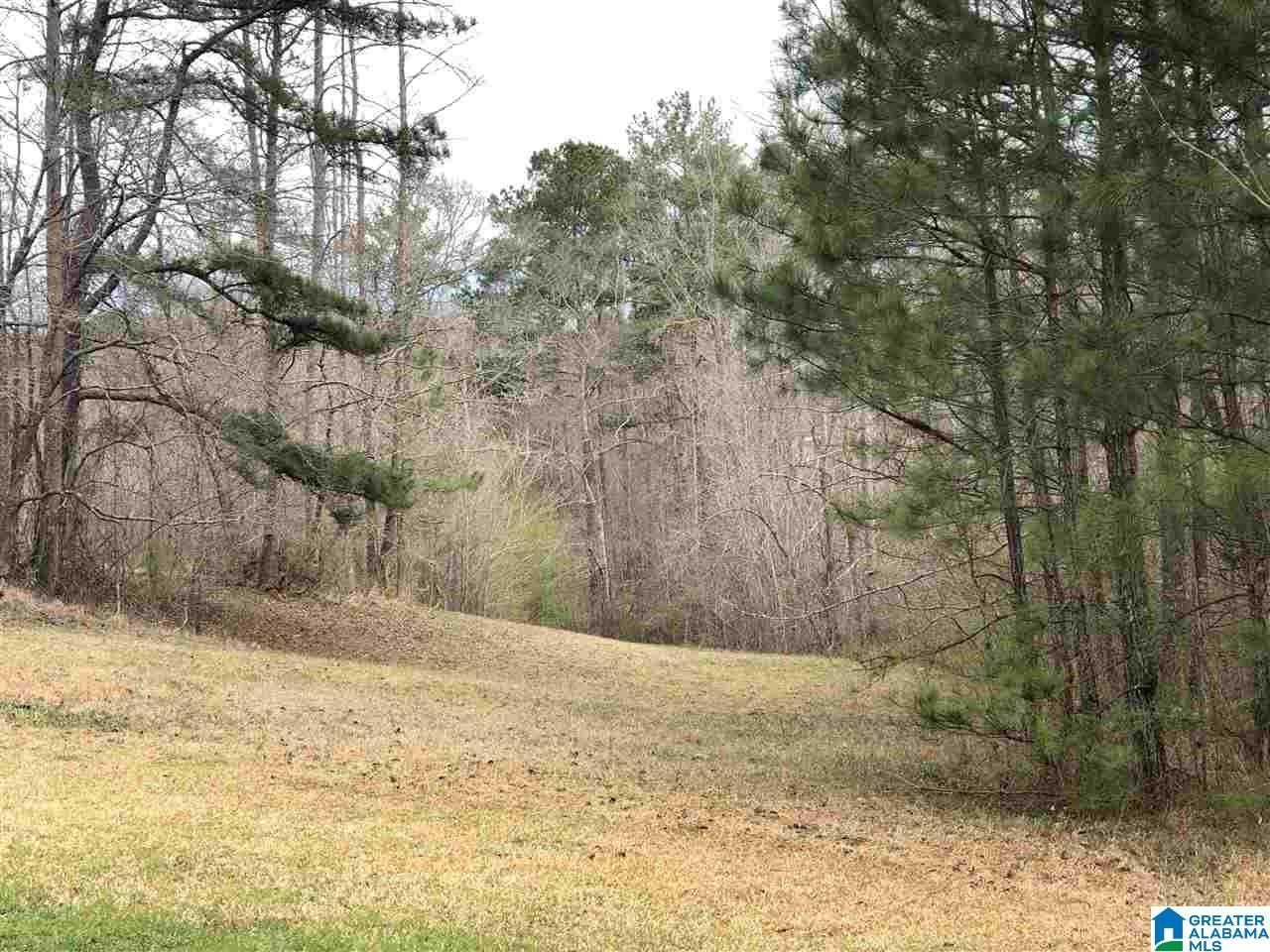 Pell City, Saint Clair County, AL Undeveloped Land for sale Property ID 417543054 LandWatch