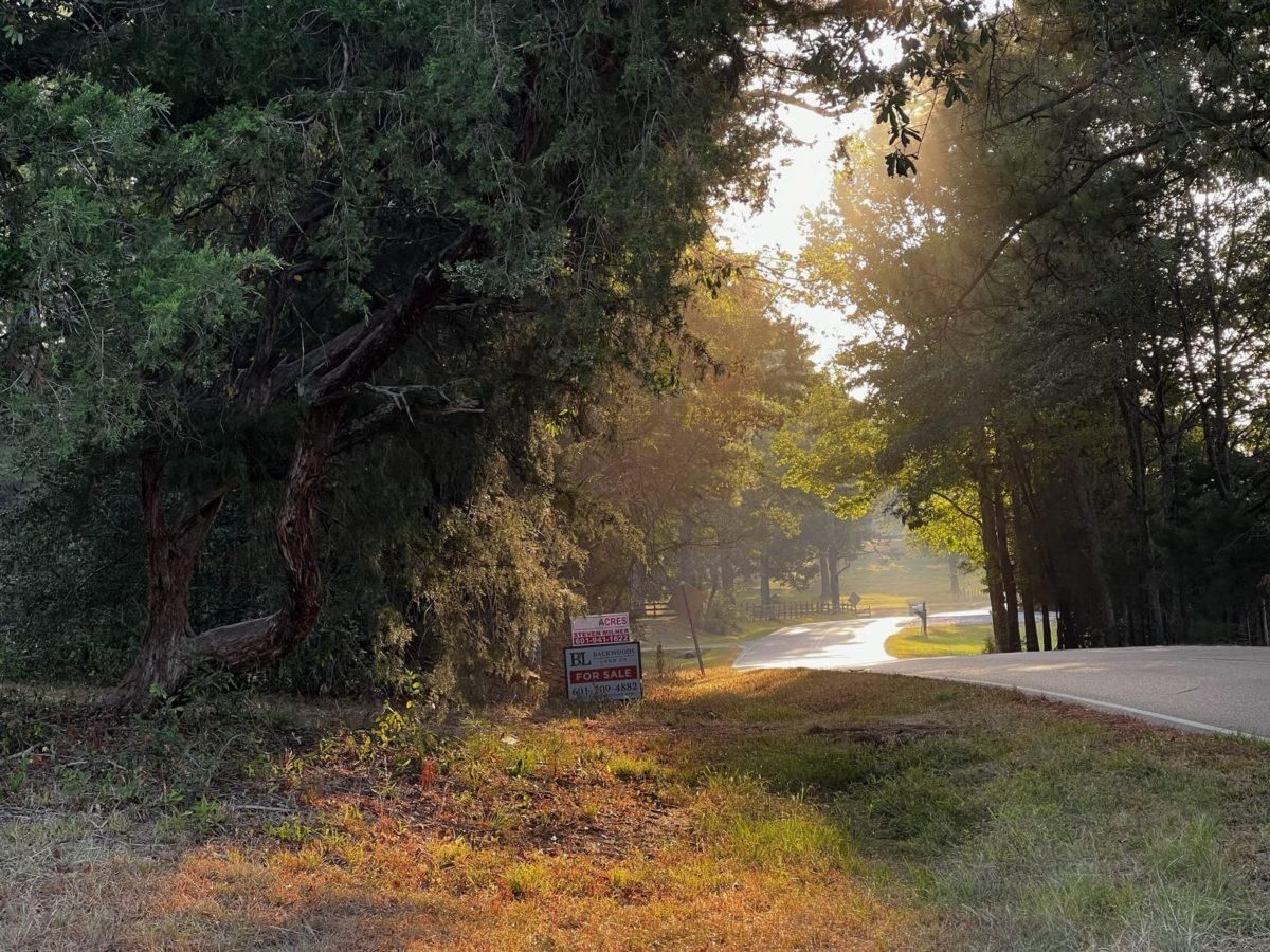 45.5 Acres, Rankin County, MS, Brandon, MS 39047 LandWatch