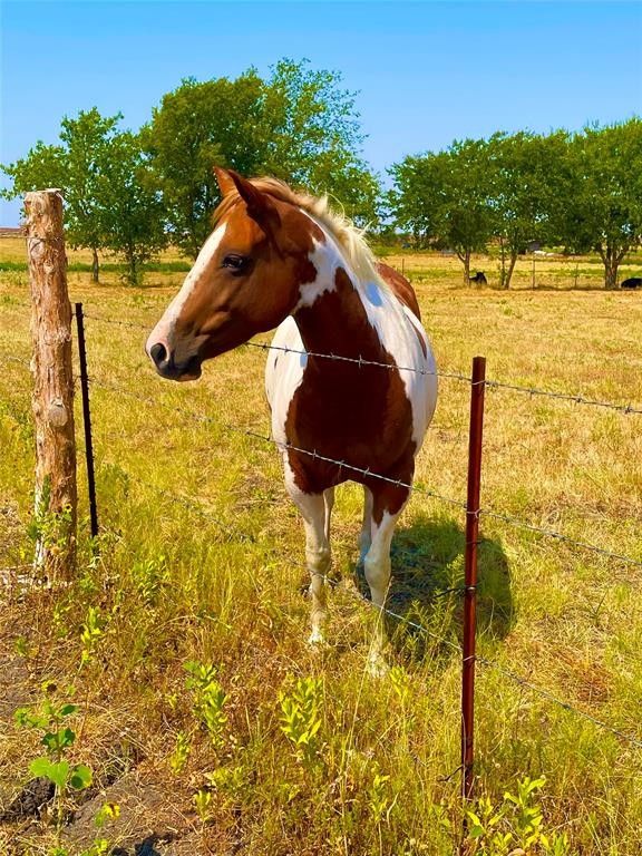 Corsicana, Navarro County, TX Farms and Ranches for sale Property ID