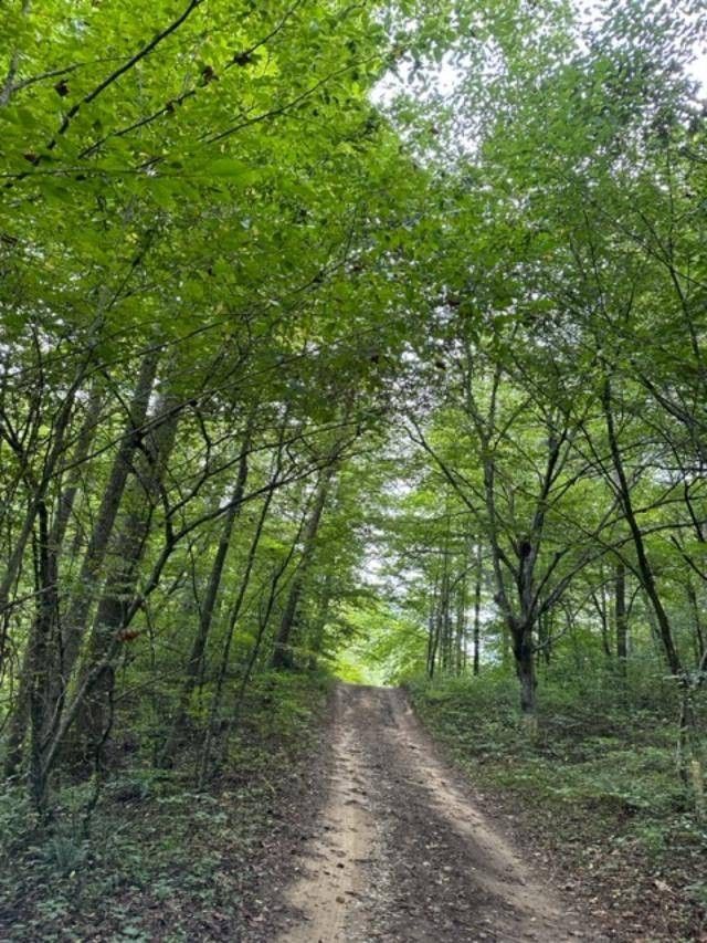 bville, Lawrence County, KY House for sale Property ID 417546661