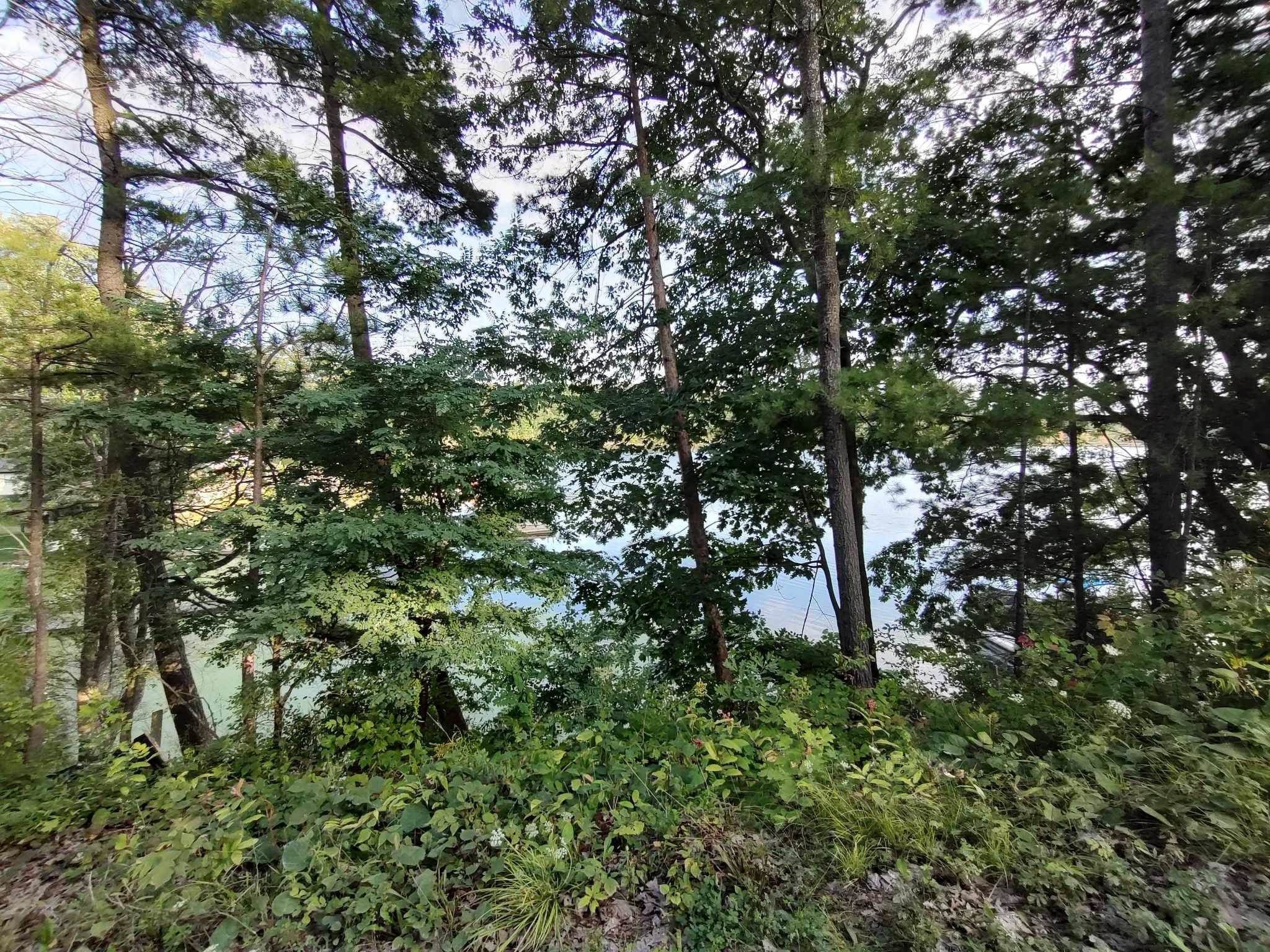 Hammond, Saint Lawrence County, NY Undeveloped Land for sale Property