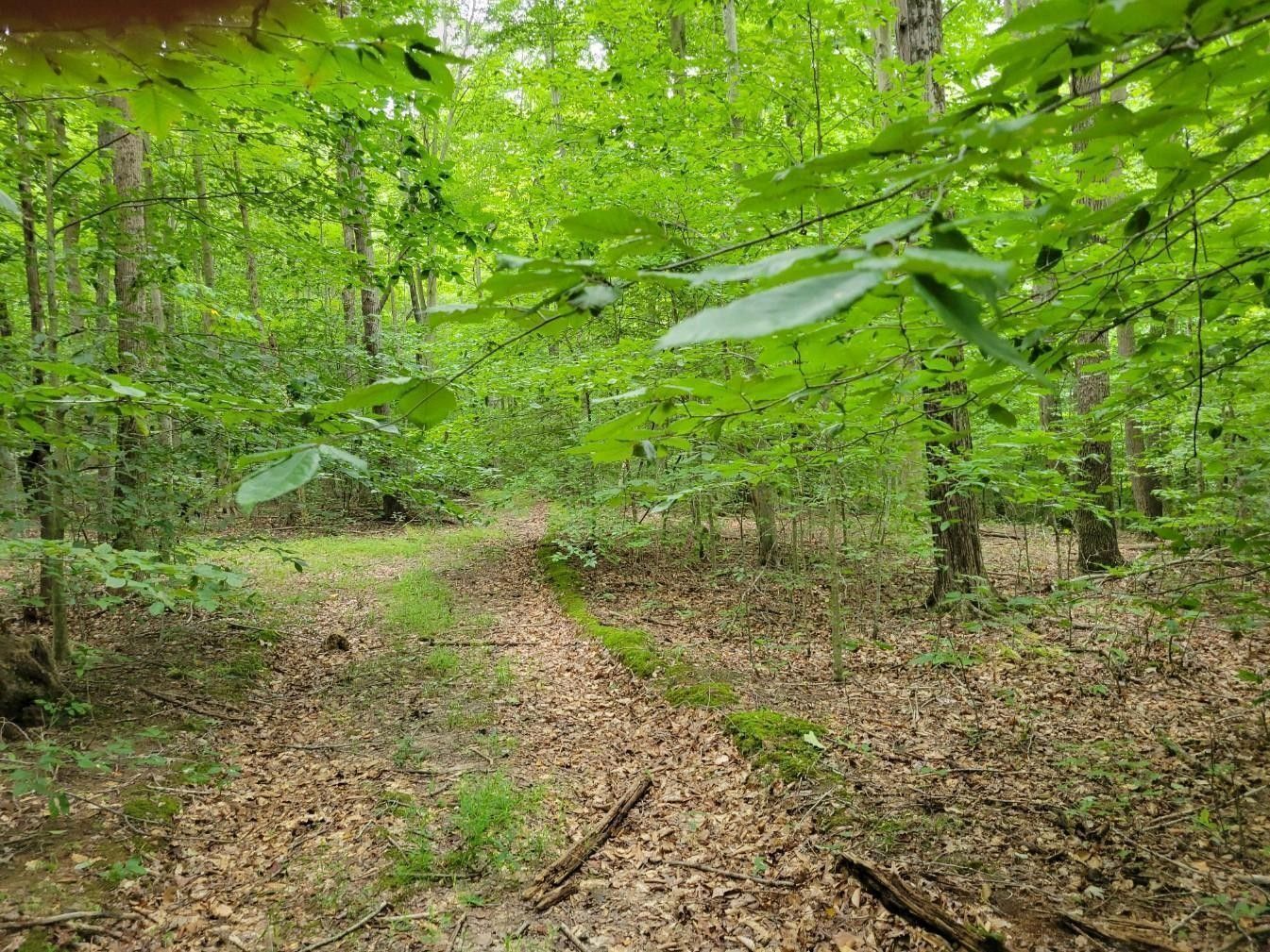 Piketon, Pike County, OH for sale Property ID 417551919 LandWatch