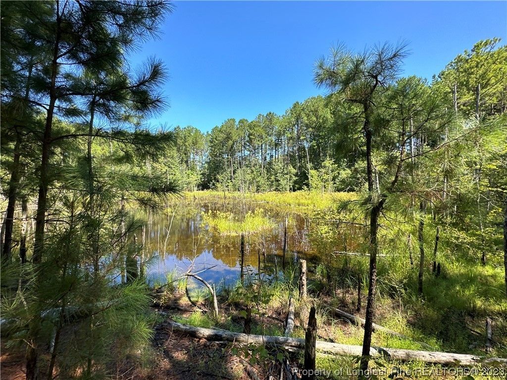 Sanford, County, NC Undeveloped Land for sale Property ID