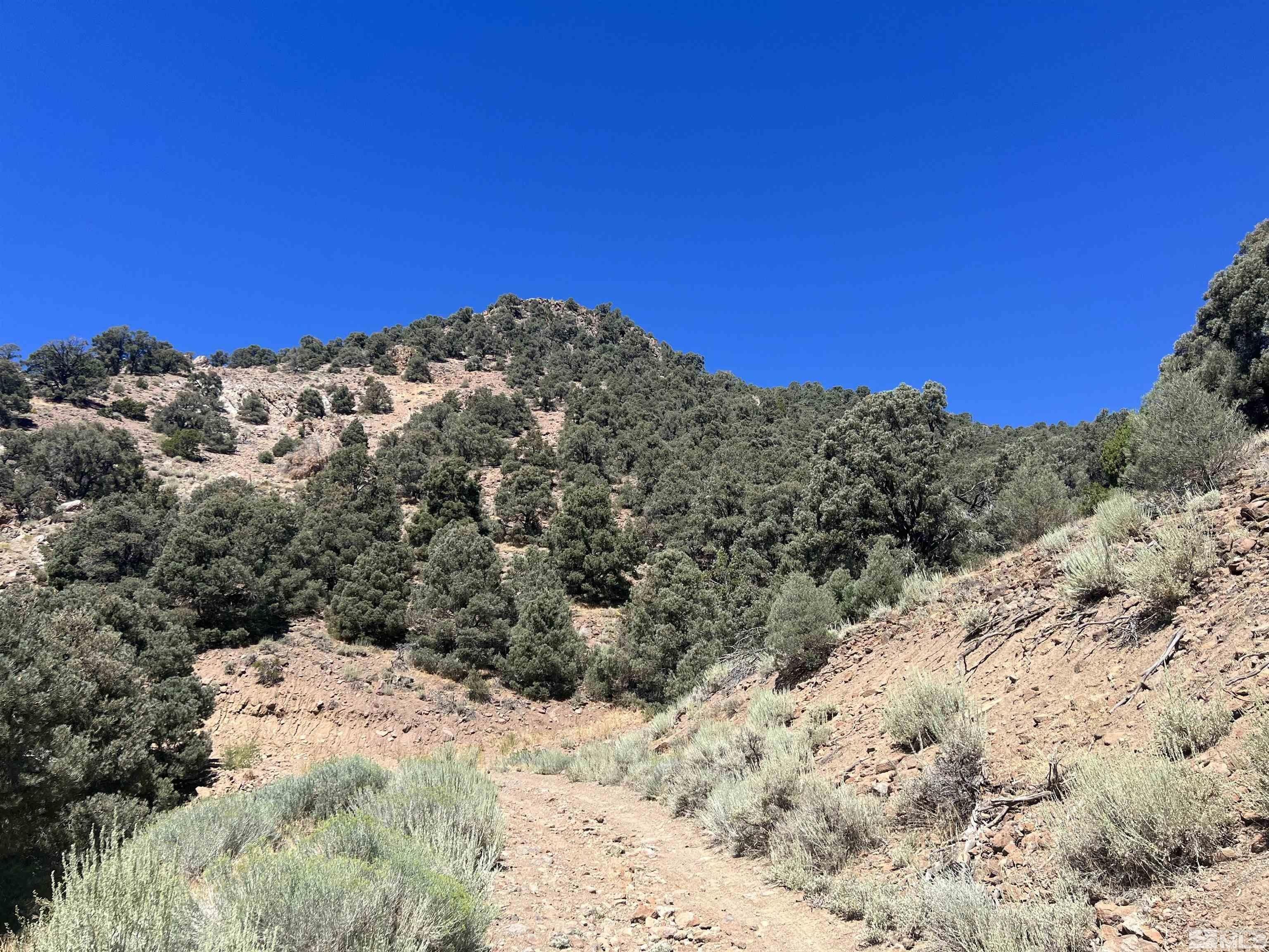 Virginia City, Storey County, NV Undeveloped Land for sale Property ID