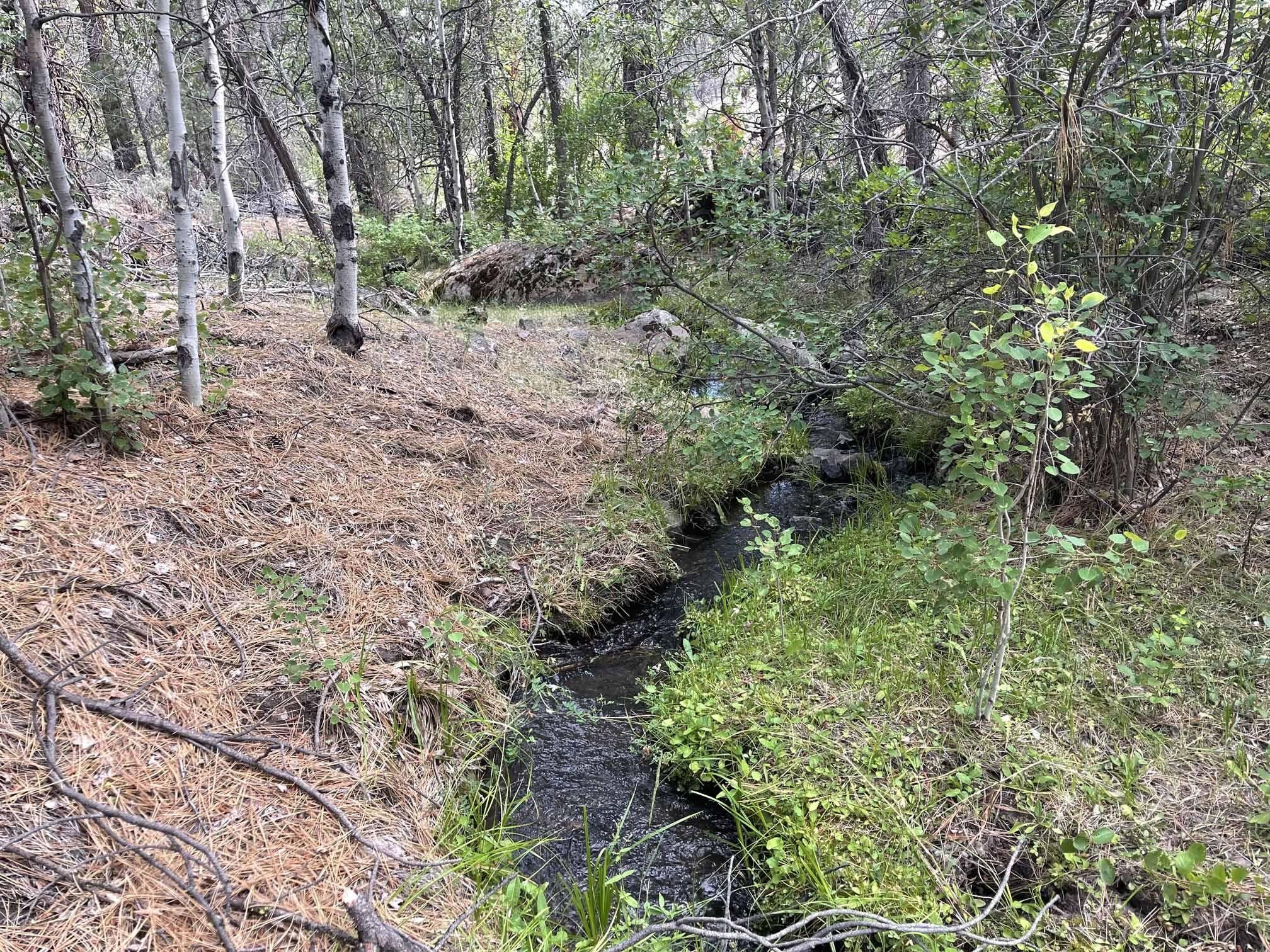 Lakeview, Lake County, OR Farms and Ranches for sale Property ID 417556087 LandWatch