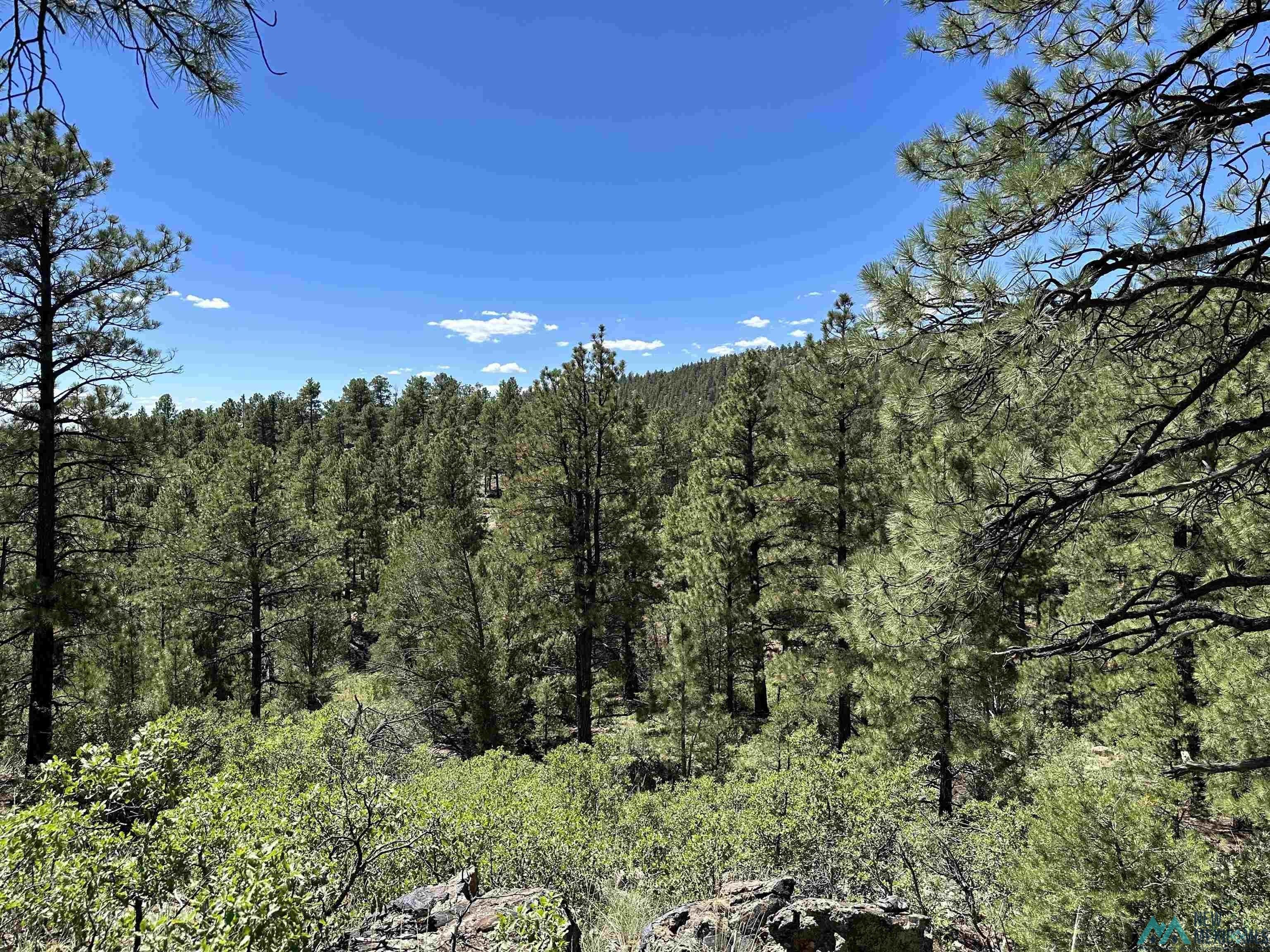 Buena Vista, Mora County, NM Undeveloped Land for sale Property ID