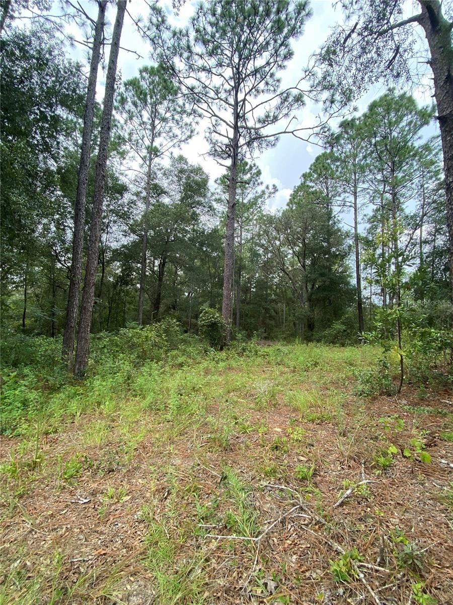 Dunnellon, Marion County, FL Undeveloped Land, Homesites for sale Property ID 417556647 LandWatch