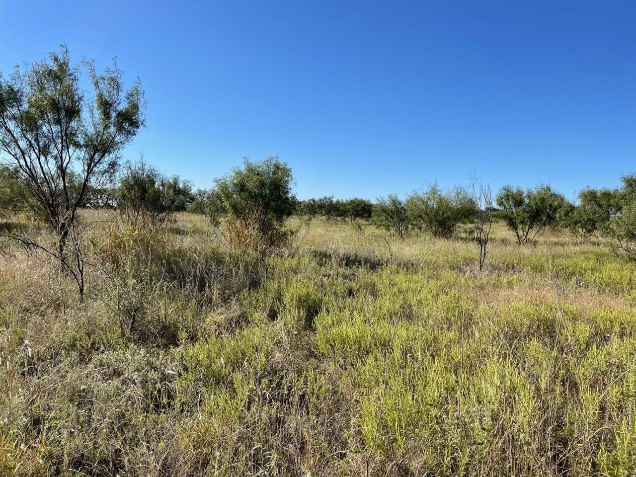 Abilene, Jones County, TX Farms and Ranches, Hunting Property for sale