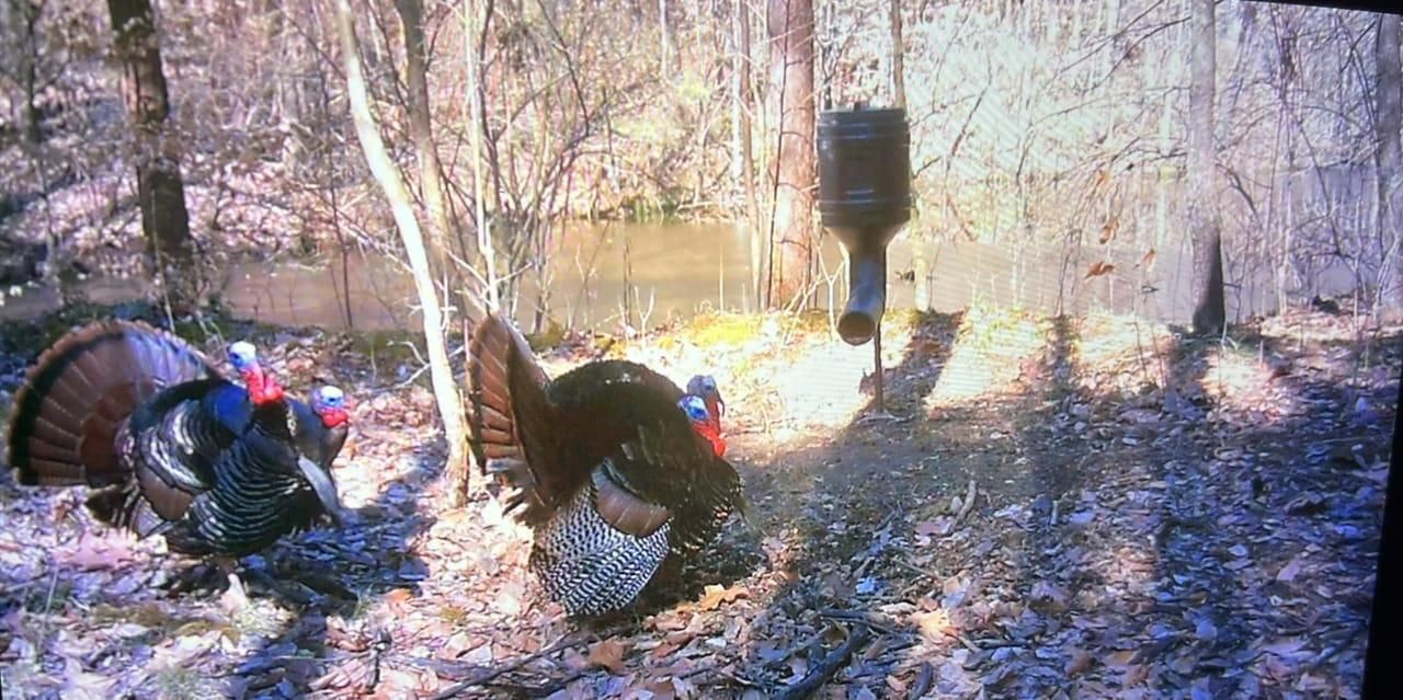 Clay City, Clay County, IN Recreational Property for sale Property ID