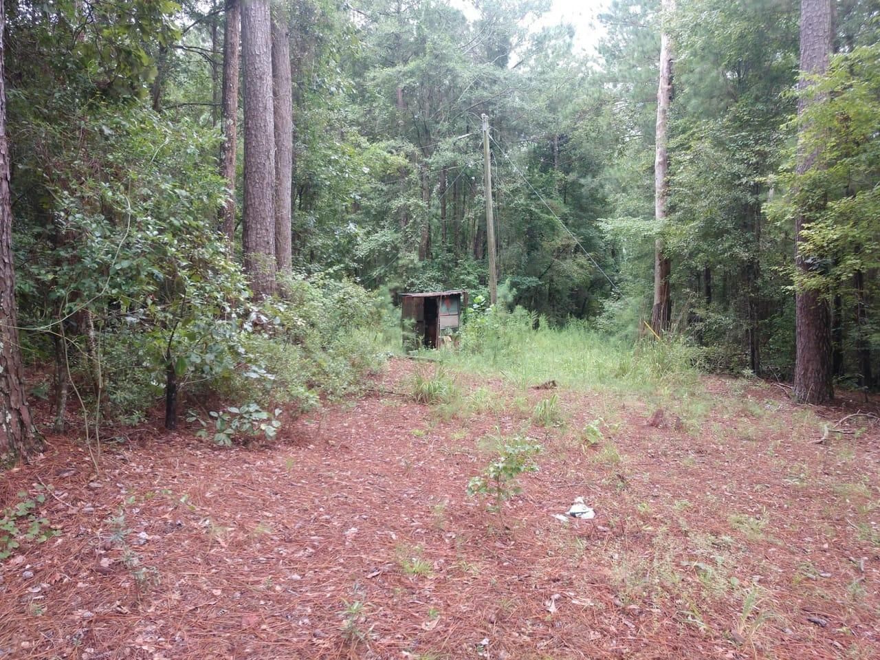 Bernice, Union Parish, LA Recreational Property, Timberland Property