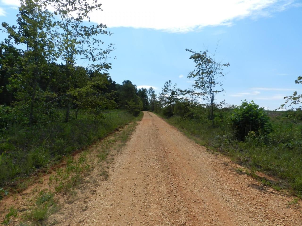 Hamilton, Marion County, AL Recreational Property, Timberland Property