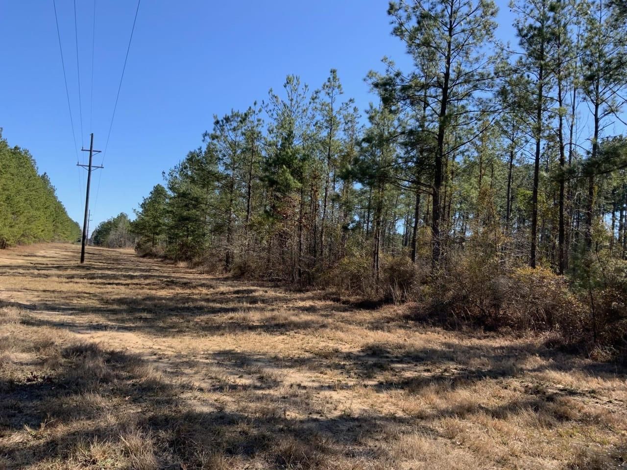 637.5 acres in Jena, LA, 71342 LandWatch