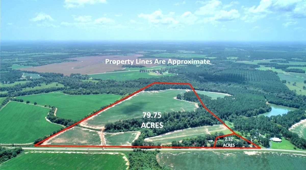 Blakely, Early County, GA Farms and Ranches, Hunting Property, House for auction Property ID