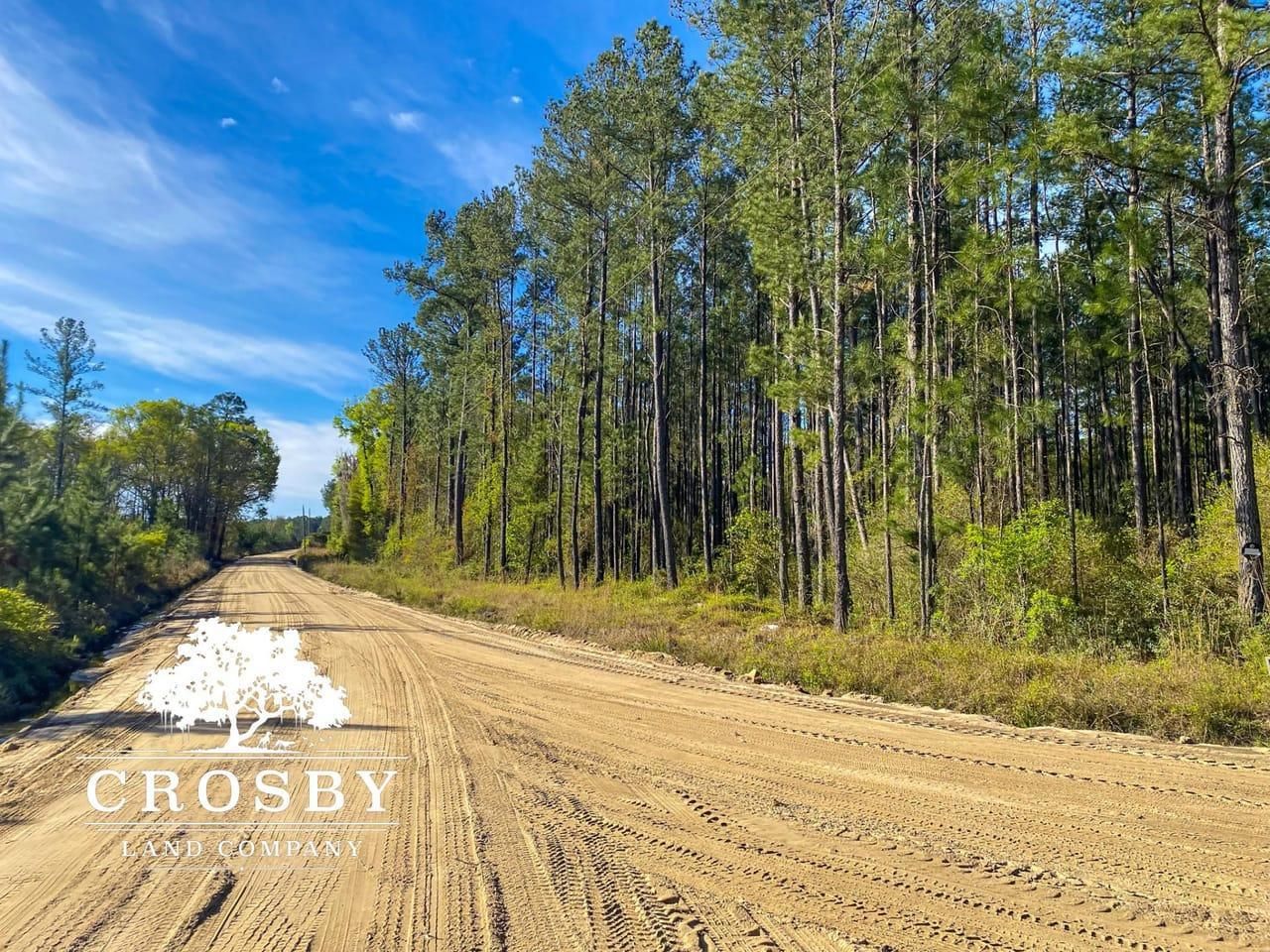 Ludowici, Long County, GA Recreational Property, Timberland Property