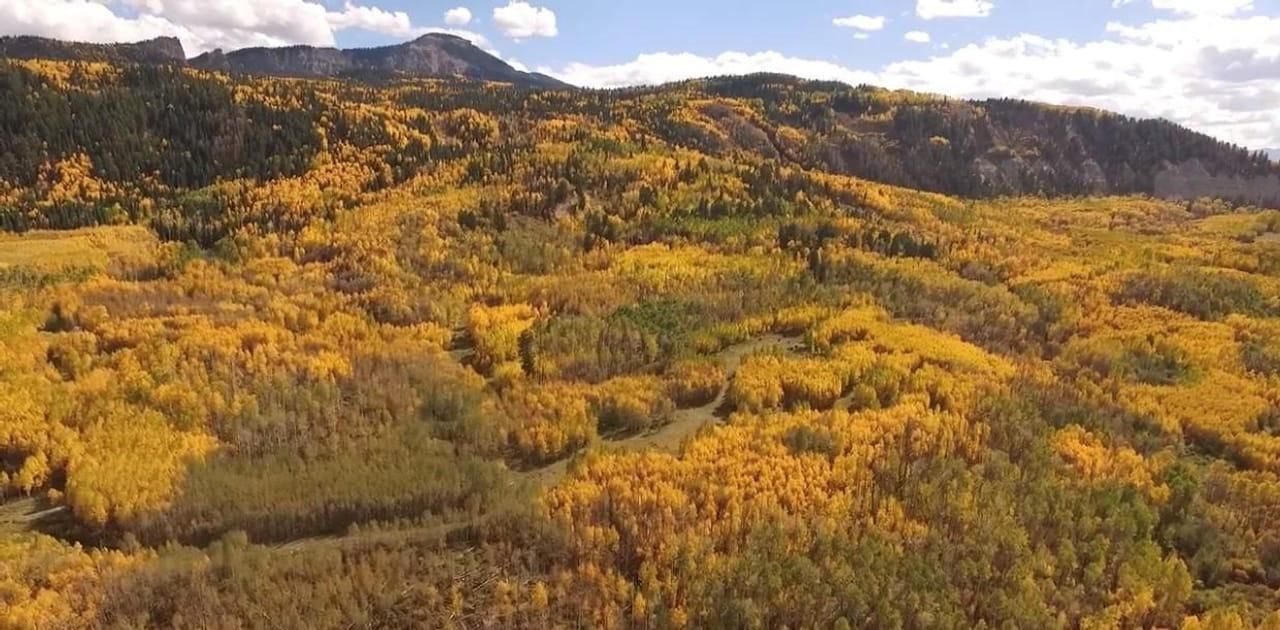 Montrose, Montrose County, CO Farms and Ranches, Undeveloped Land