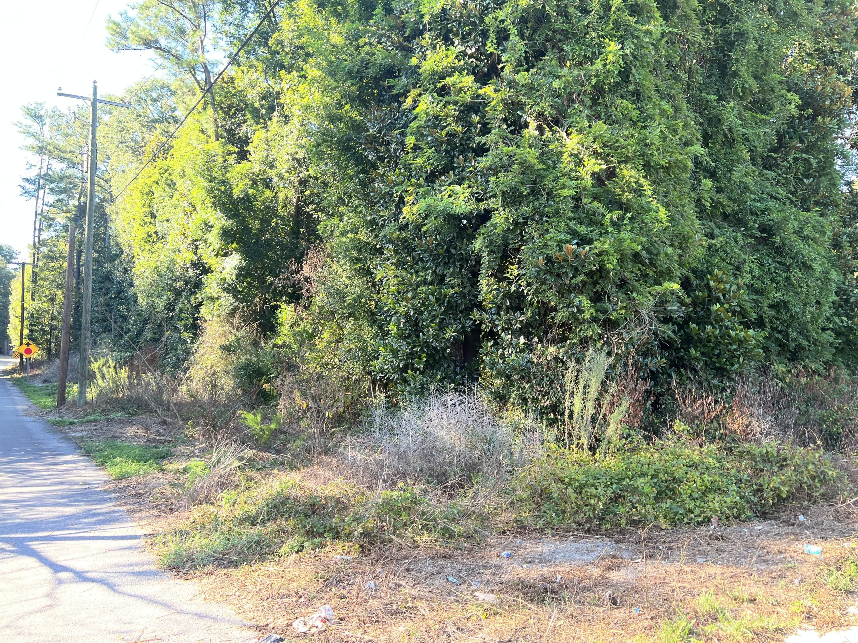 Warrenville, Aiken County, SC Undeveloped Land, Homesites for sale