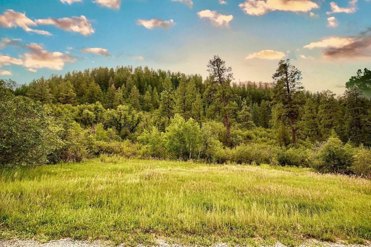 16 Pine Spring Ranch, Bayfield, CO 81122 LandWatch