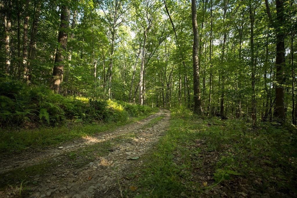 318 Upper Lease, West Hickory, PA 16370 MLS 158329 LandWatch