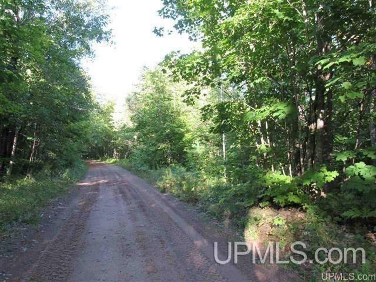 80 Acres Off Bill Nichols Trail, Painesdale, MI 49955 LandWatch