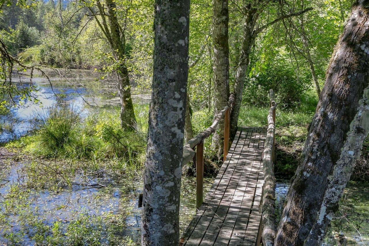 Cottage Grove, Lane County, OR Recreational Property, Lakefront