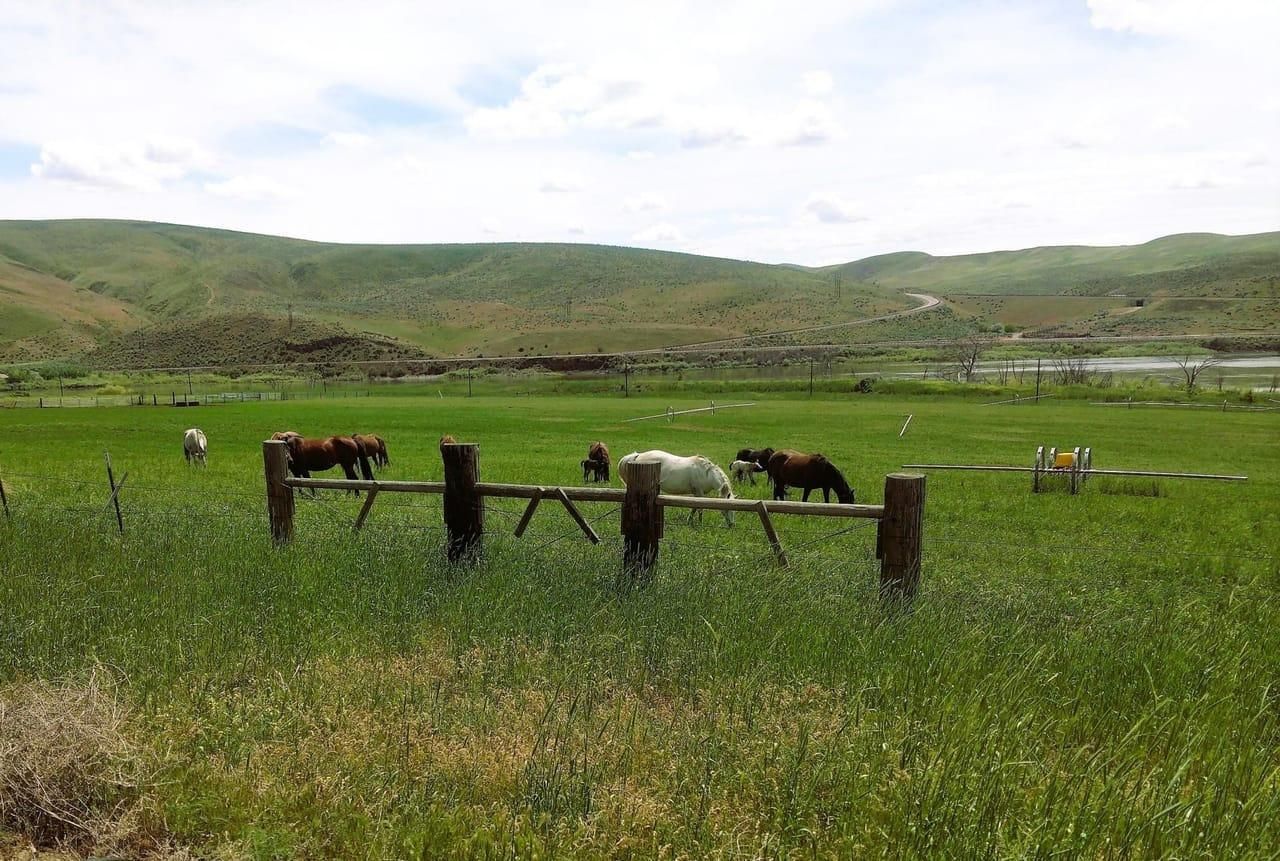 Weiser, Washington County, ID Farms and Ranches for sale Property ID