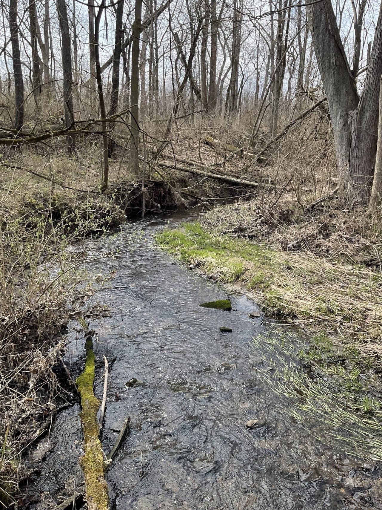 Ridge Farm, Vermilion County, IL Homesites for sale Property ID