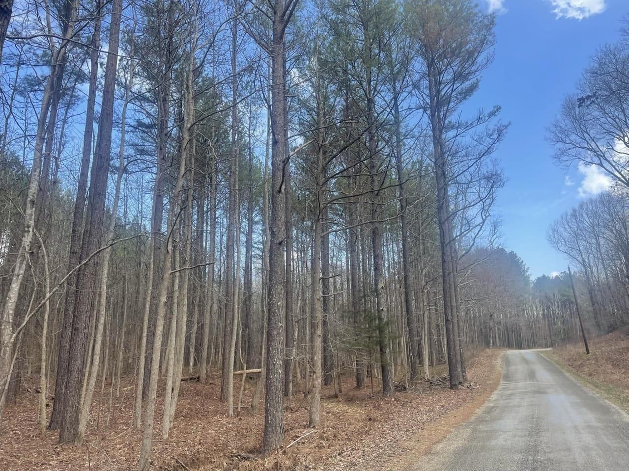Linden, Perry County, TN Timberland Property, Undeveloped Land, Hunting Property for sale