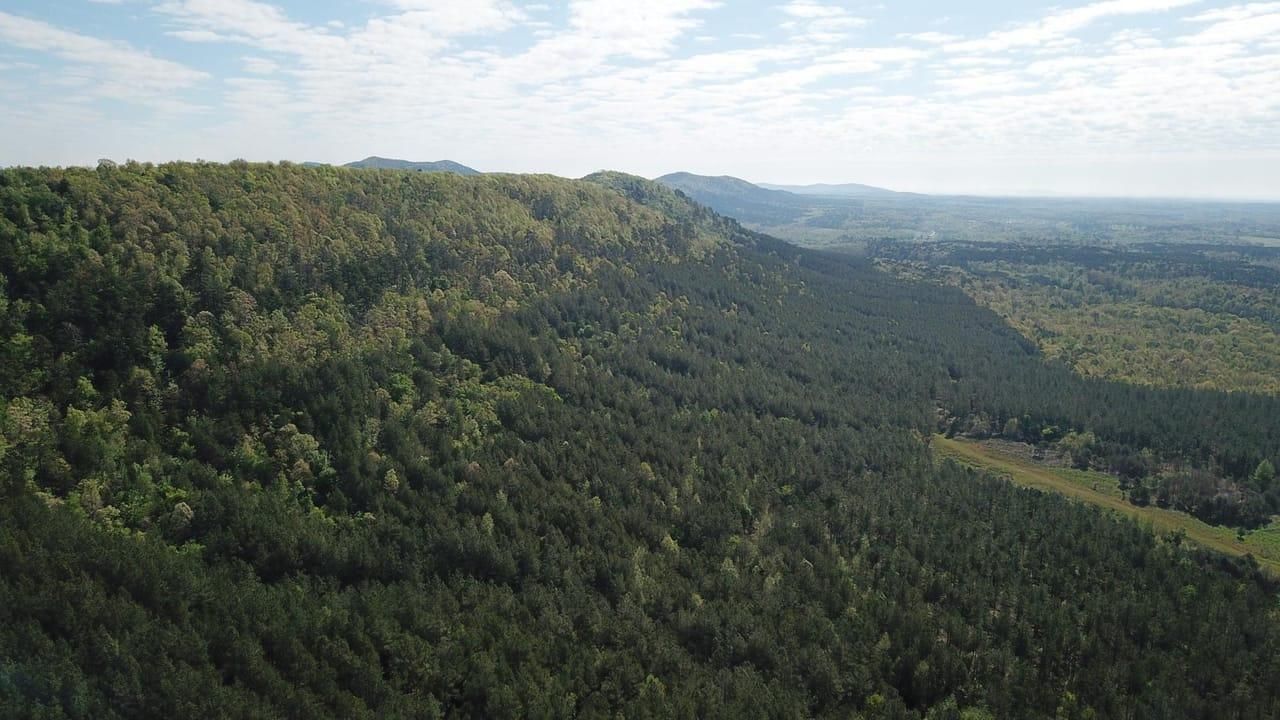 AR HWY 240, Caddo Gap, AR 71935 LandWatch