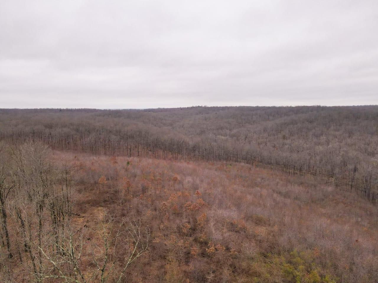 Highway Z, Wappapello, MO 63966 MLS 23020619 LandWatch