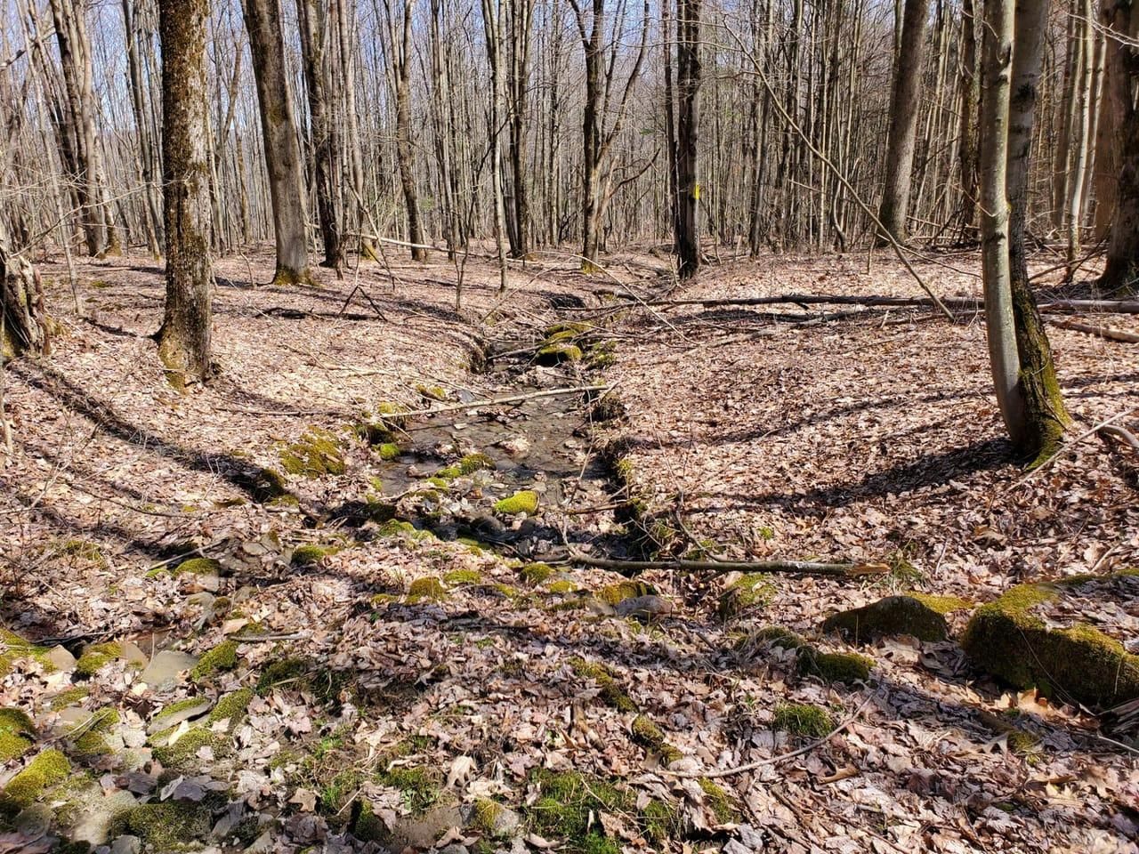 Cuba, Allegany County, NY Recreational Property, Timberland Property