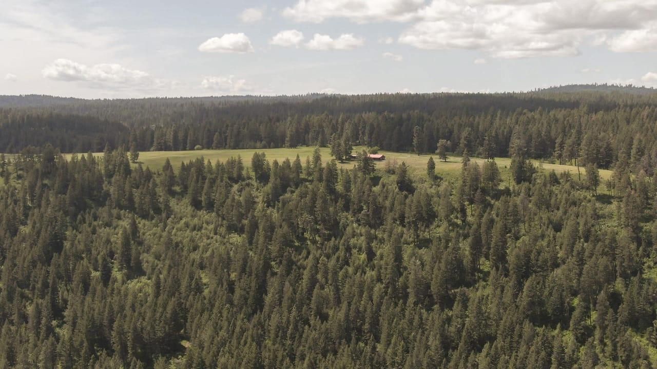 TBD, Cottonwood, ID 83522 LandWatch