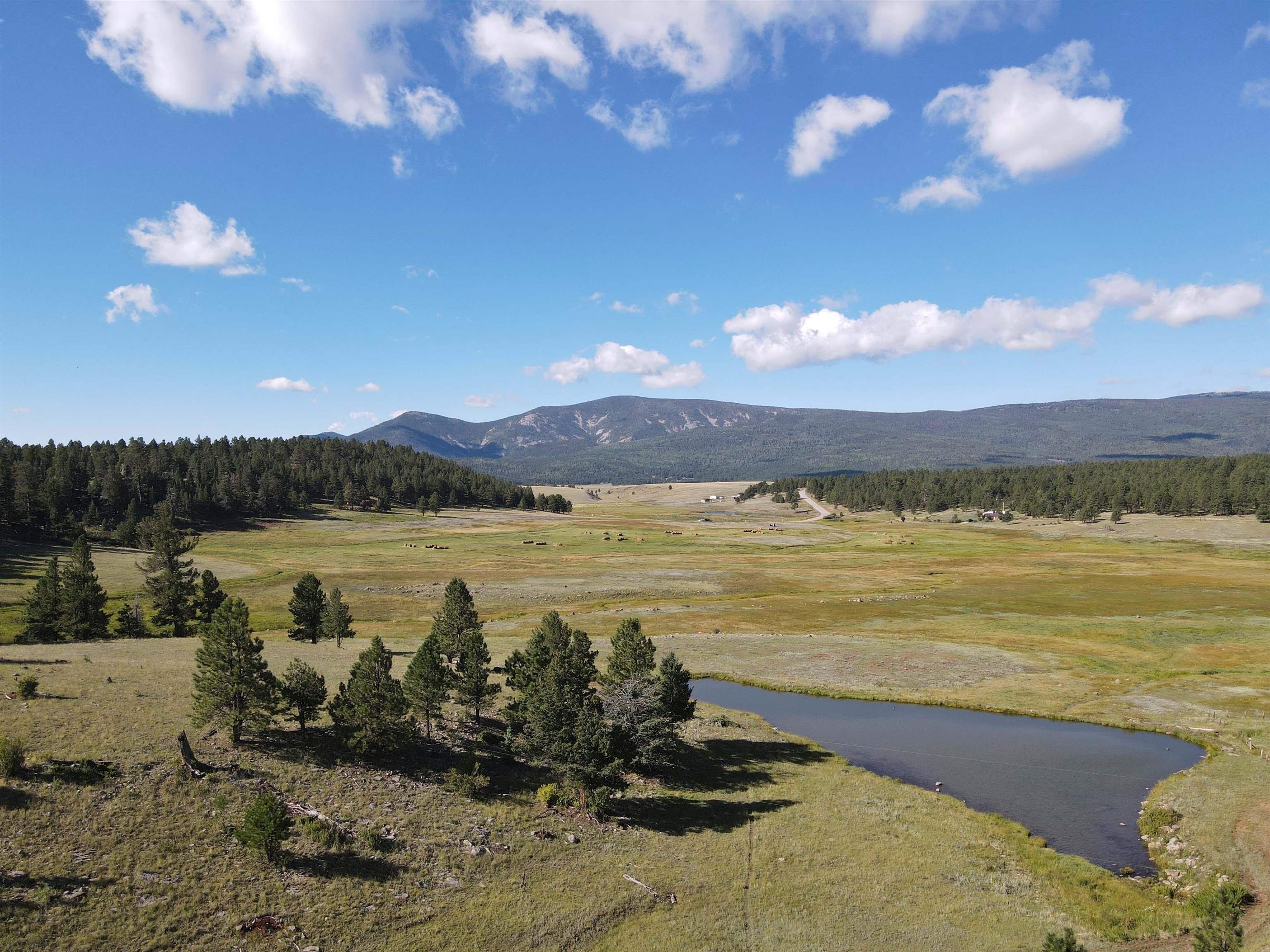 Angel Fire, Colfax County, NM Farms and Ranches for sale Property ID